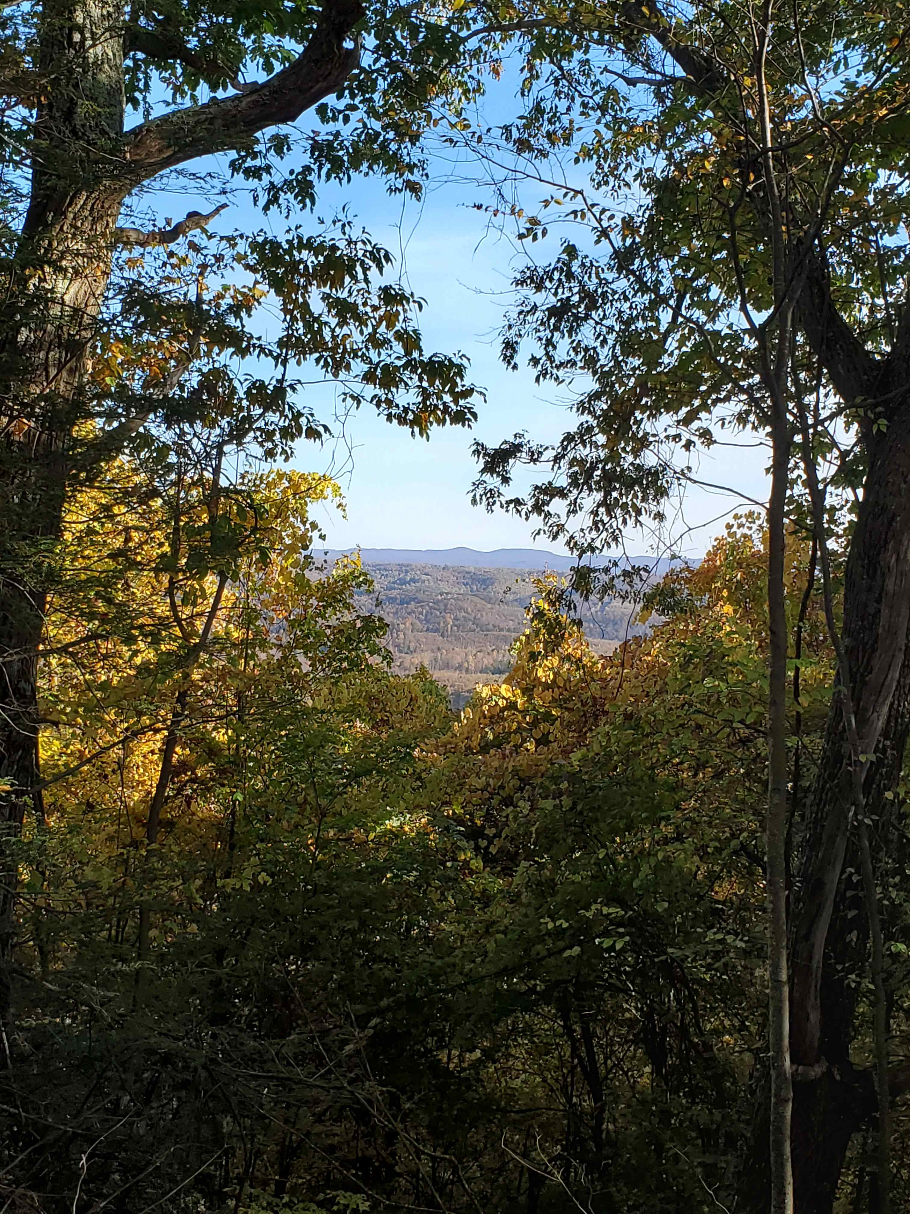 Moore Mountain