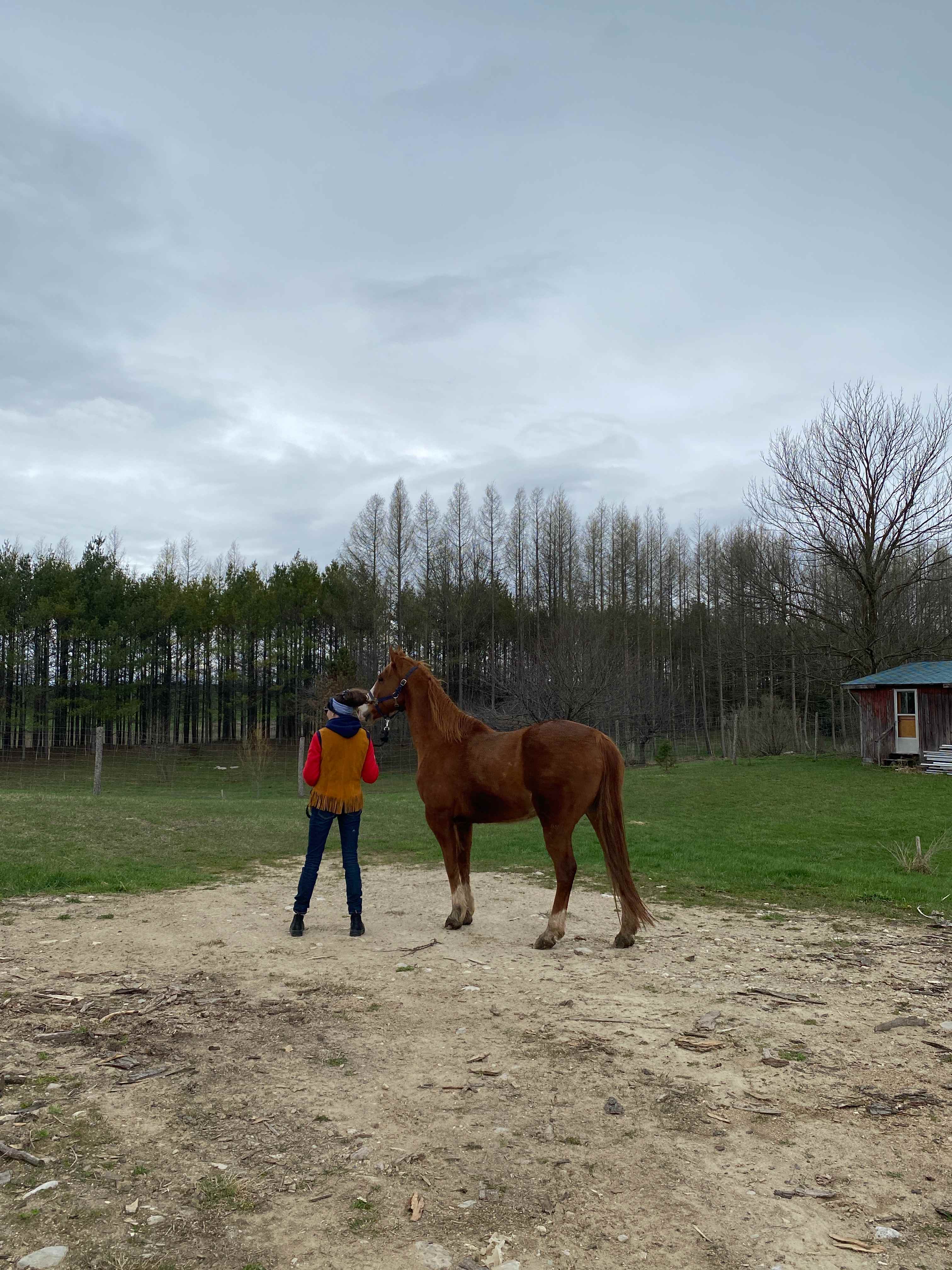SUJO Funny Farm Camping