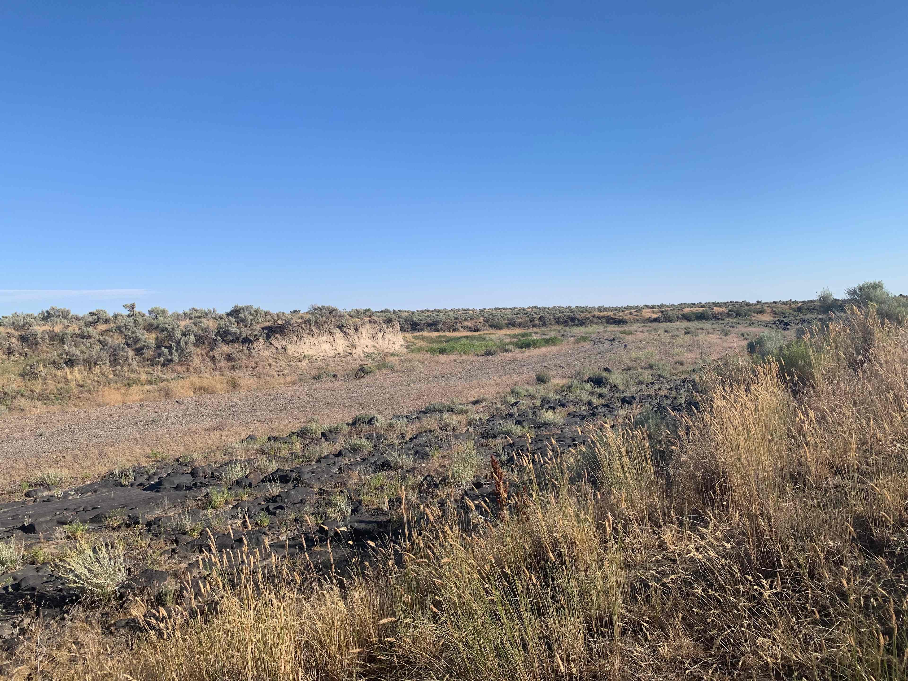 A dry creek bed nearby. Across the way is a nice canal to swim at. You can ask Brittney for directions and a nice quiet swim. 