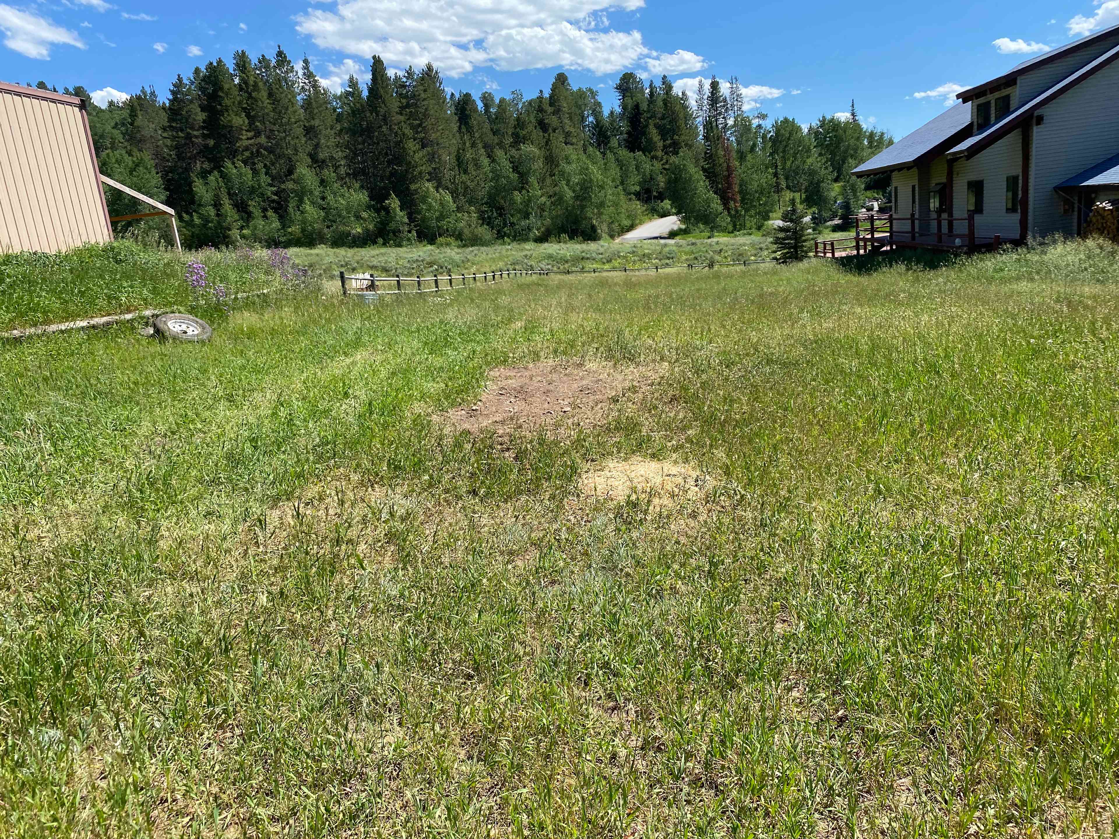 M3 Horse Ranch