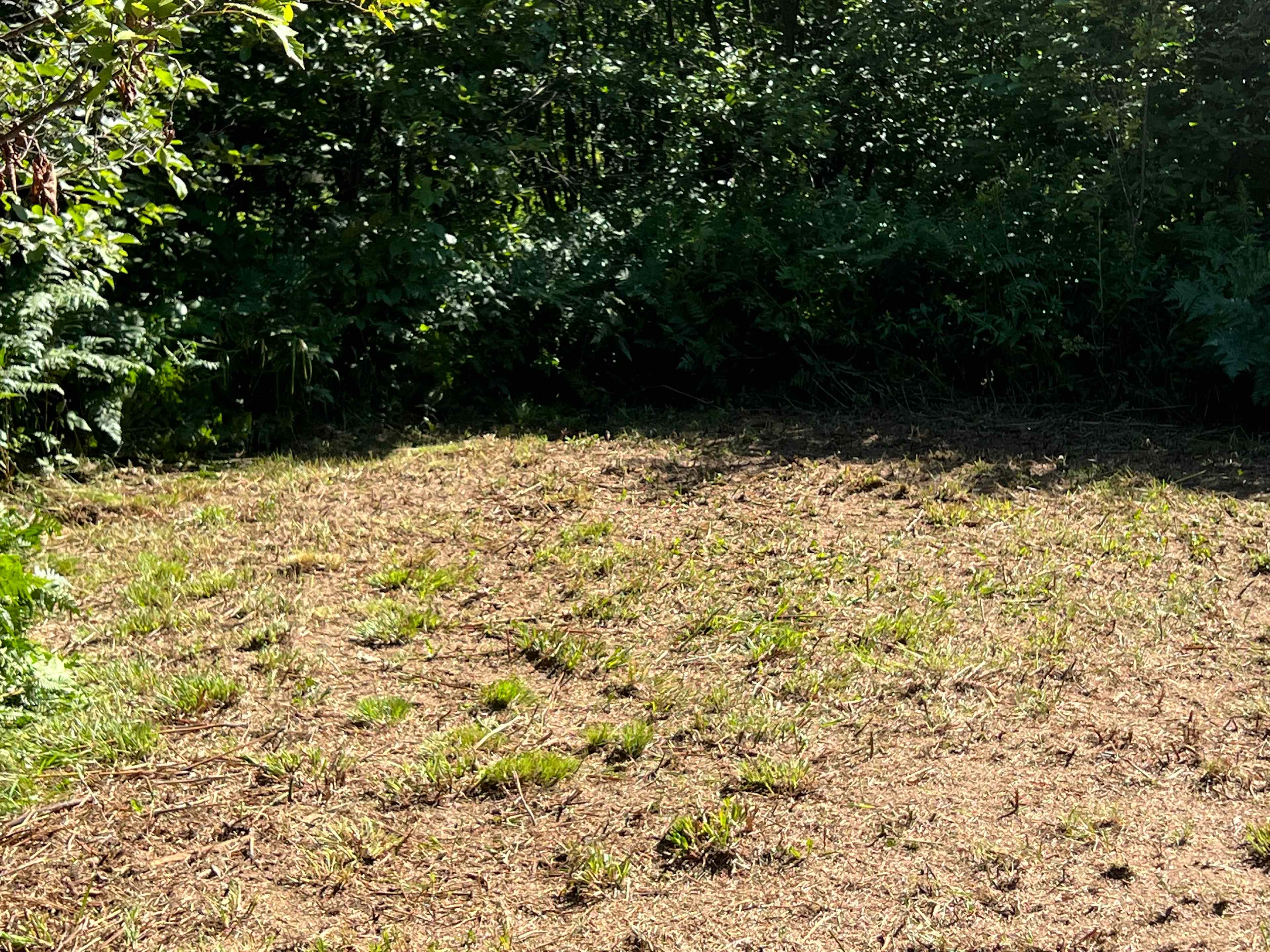 The Campsite