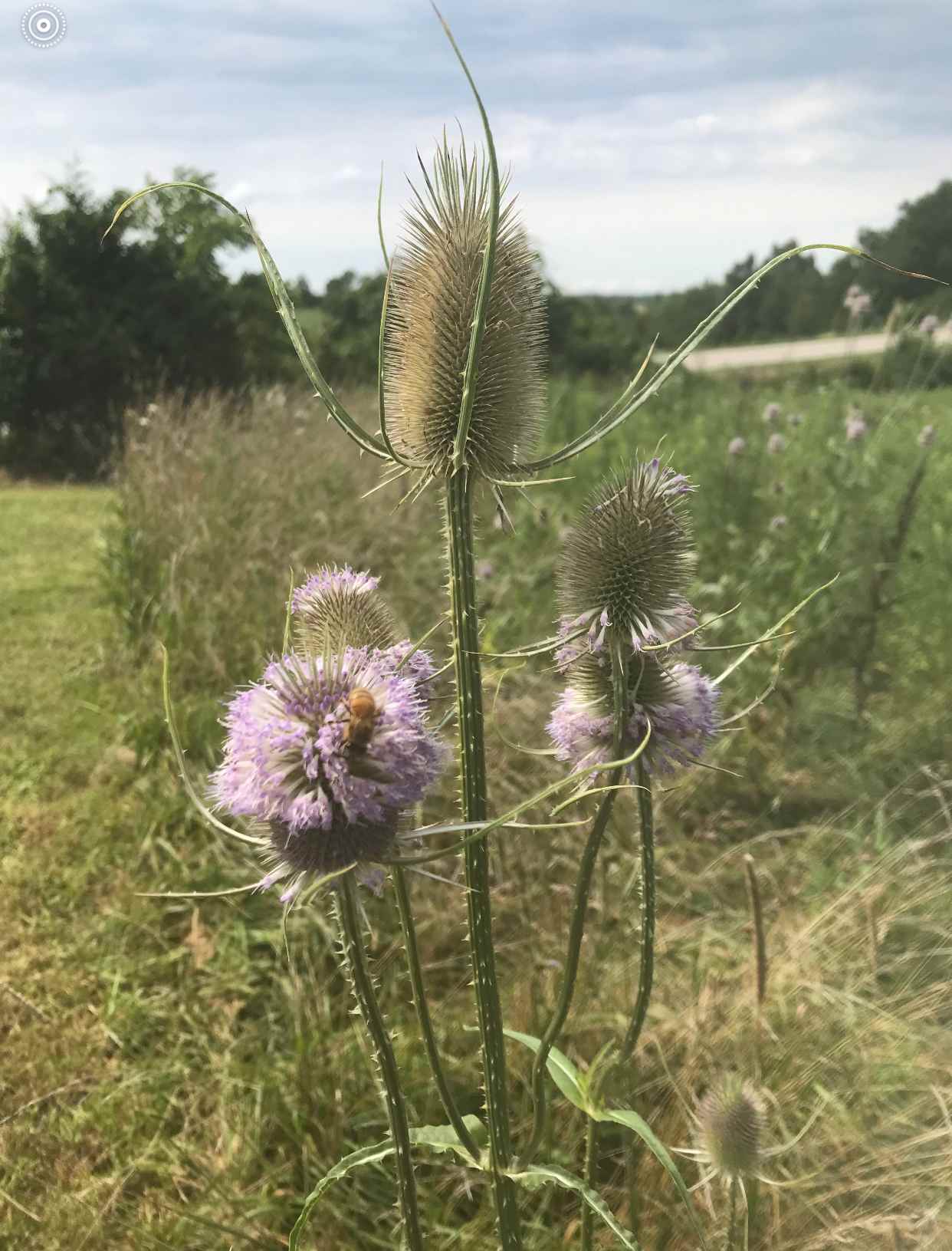 Prince of Peace Campground