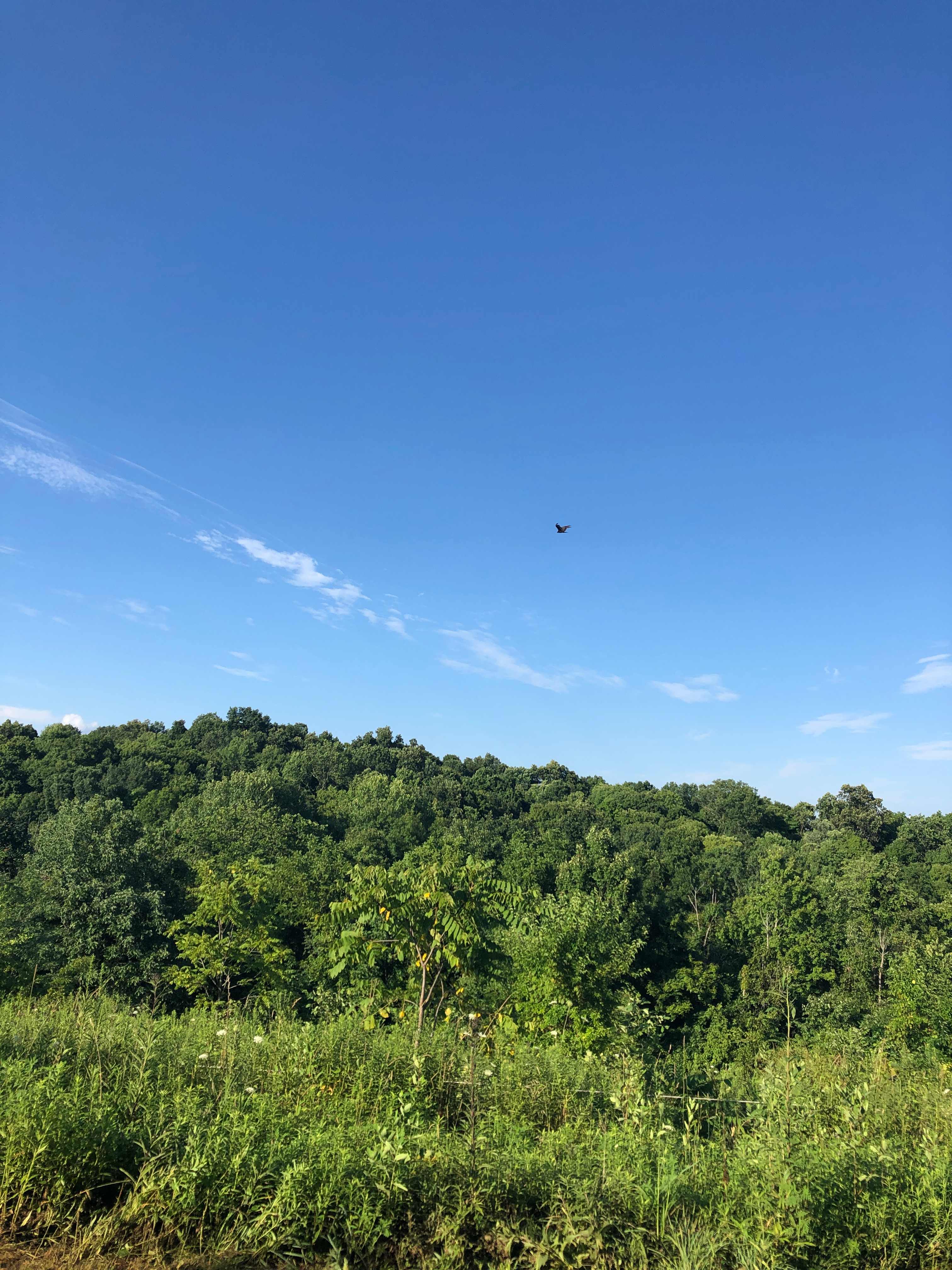 Prince of Peace Campground