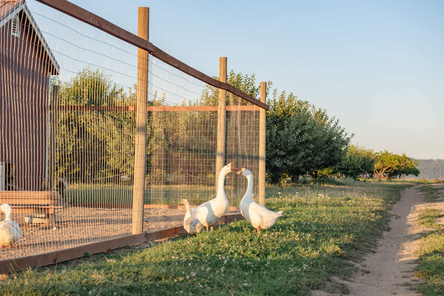 Hidden Acres Orchards