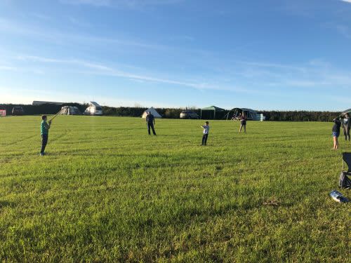 There is plenty of room for the family in the field