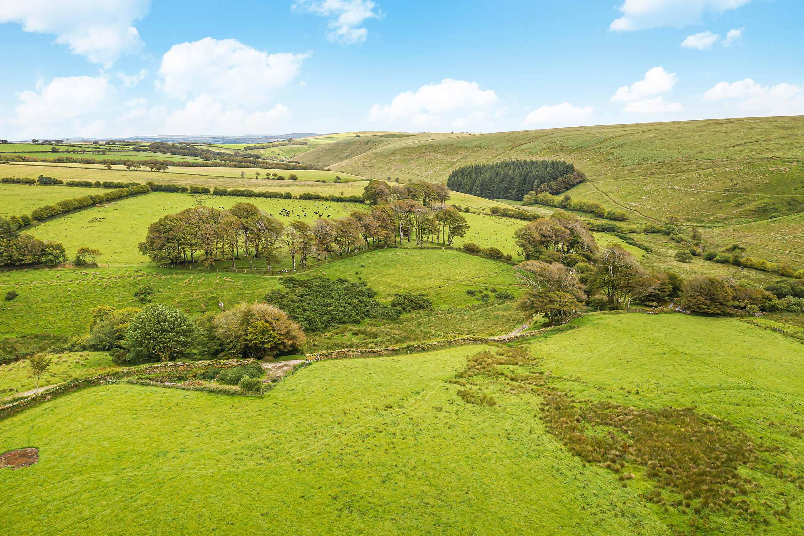 Wild camping at Emmetts on Exmoor