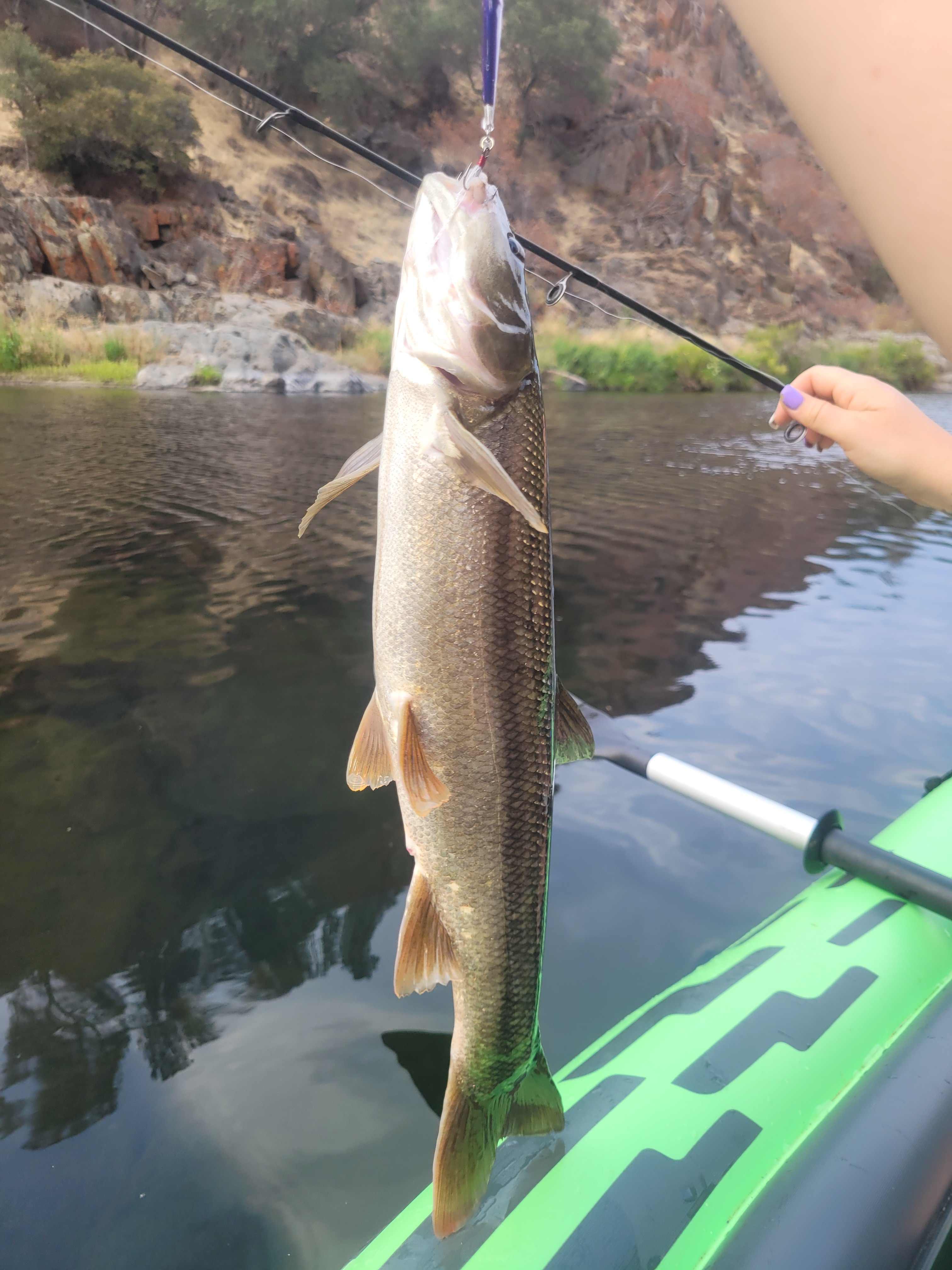Cosumnes River Ranch