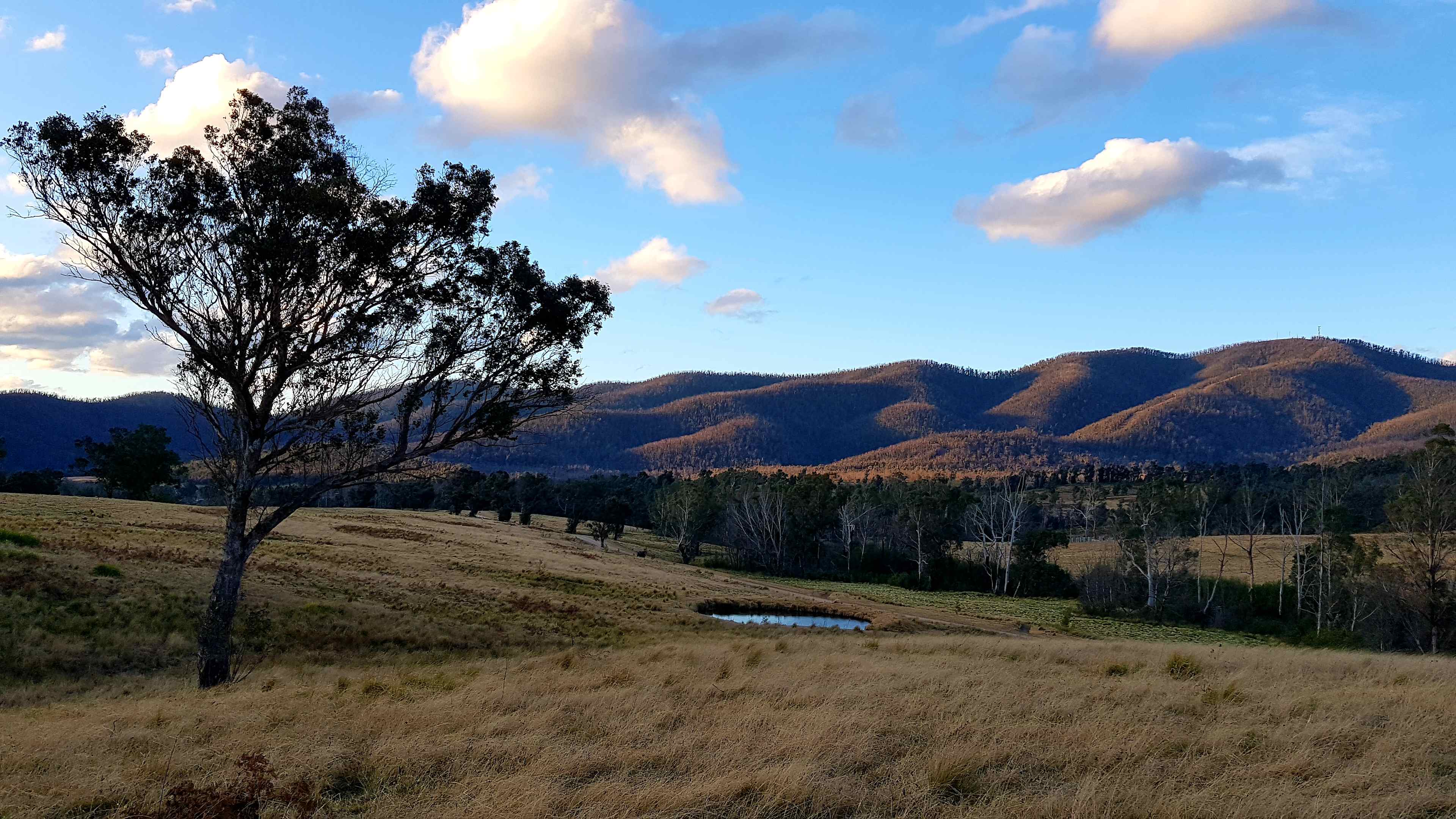 Roagumba Farm