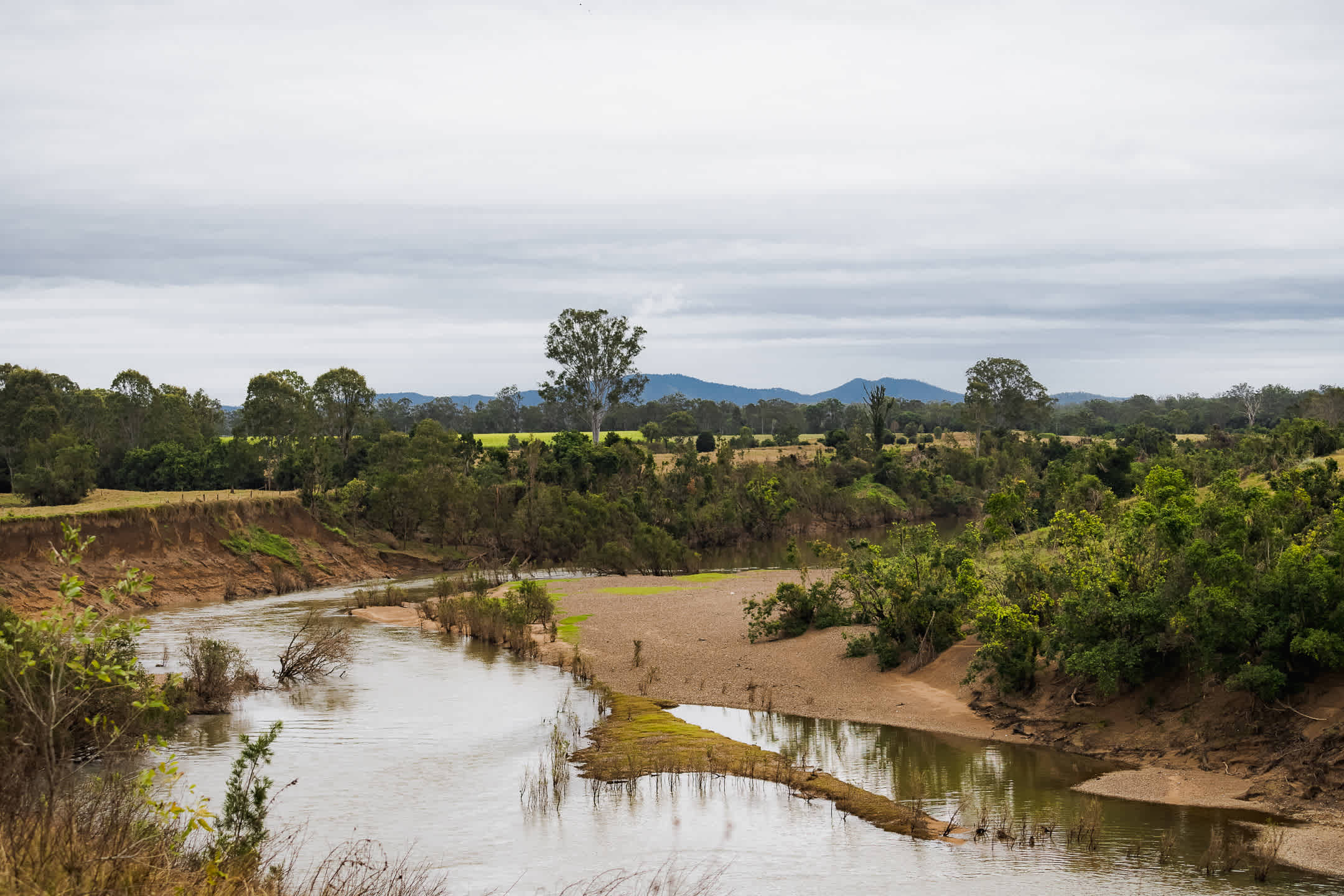 Going for a walk to scope out the property and riverbank. You can see the flood damage so easily.