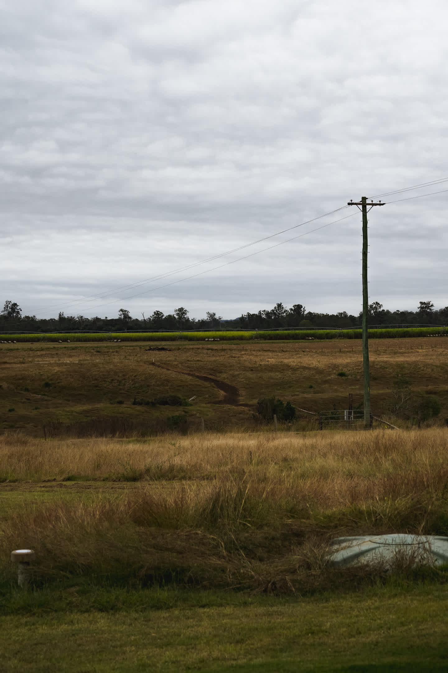 Looking across the river (below frame) at another property from the backyard.