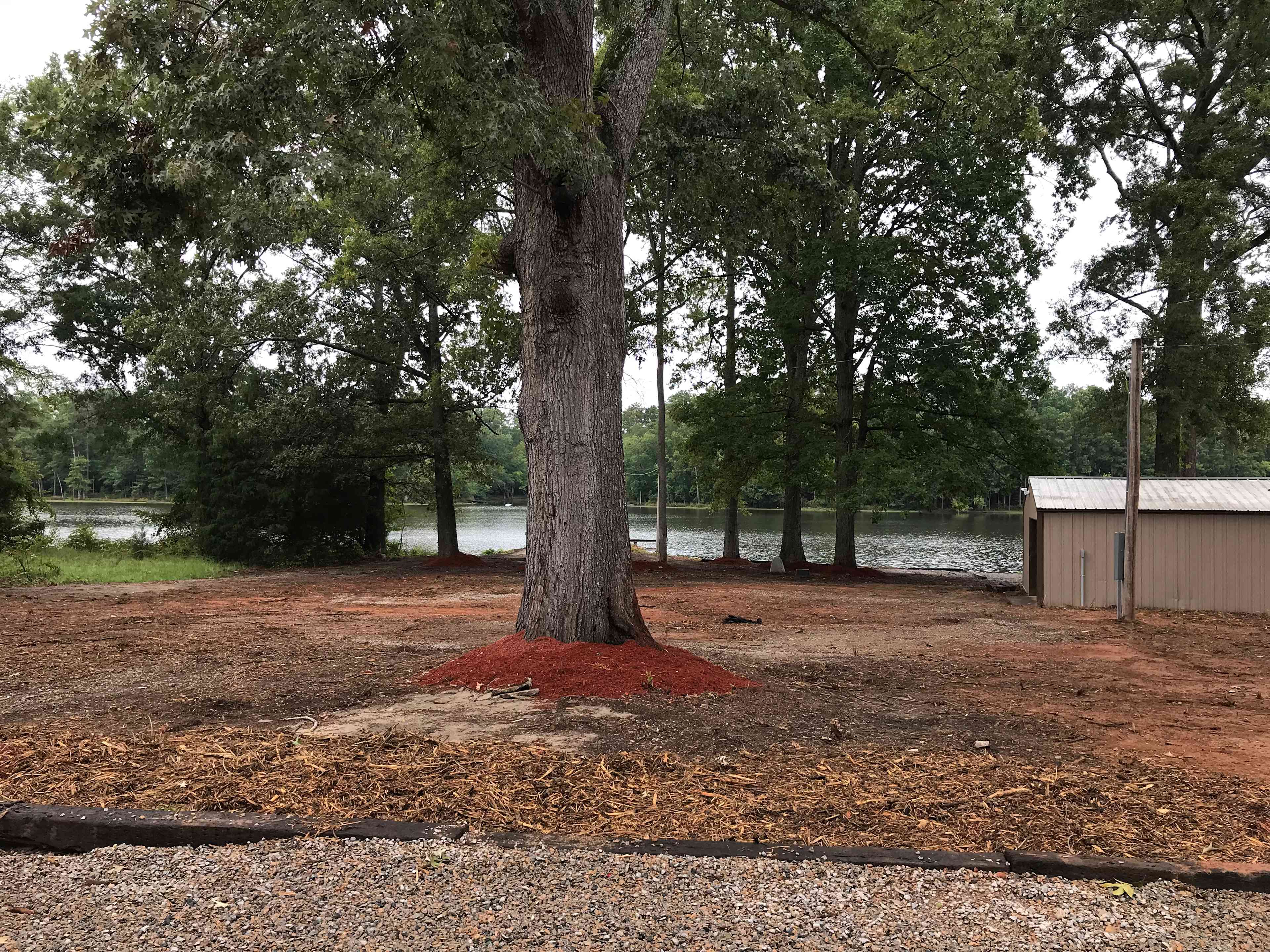 View from Site #1