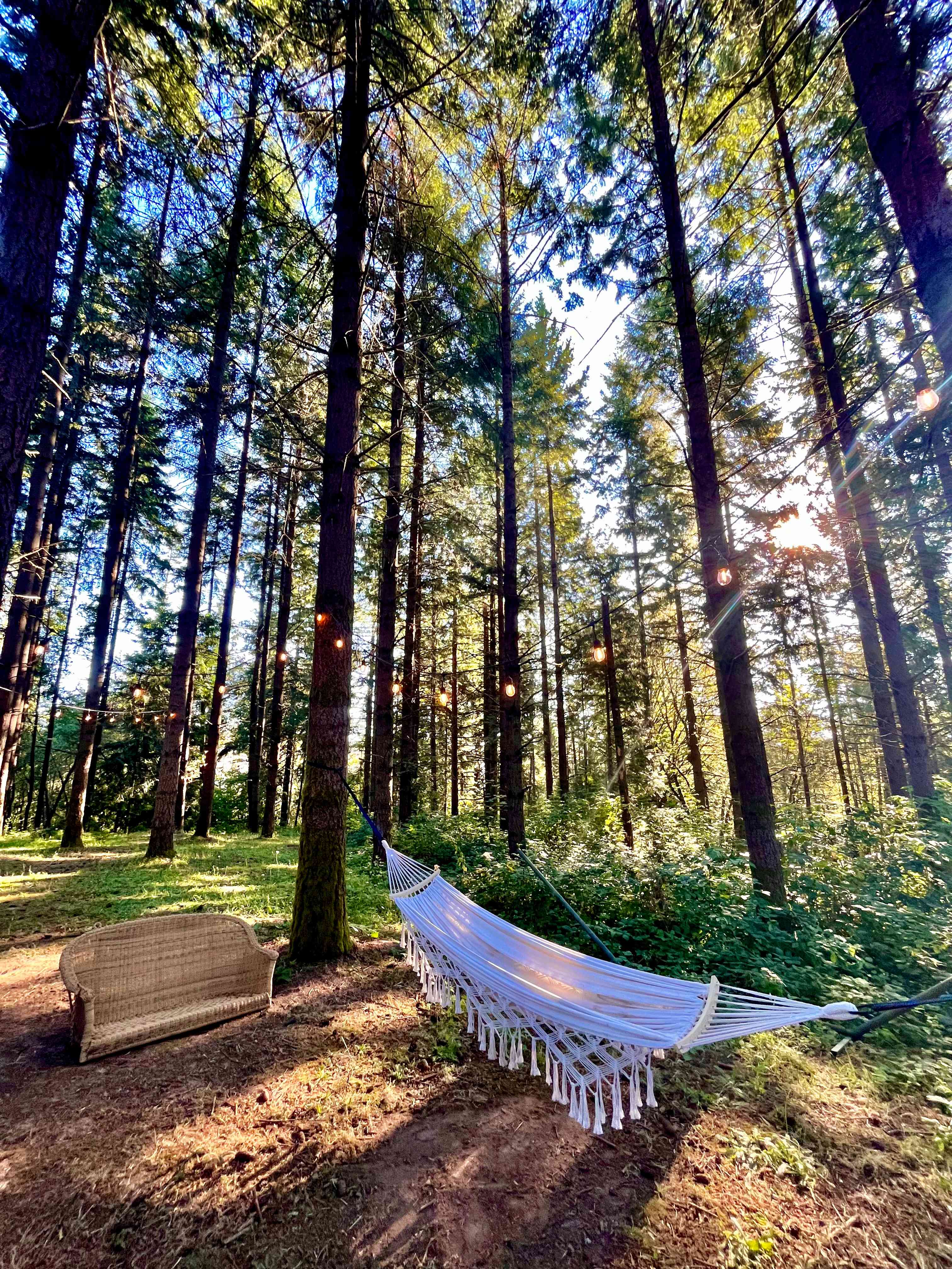 Akitaaru Forest Camp