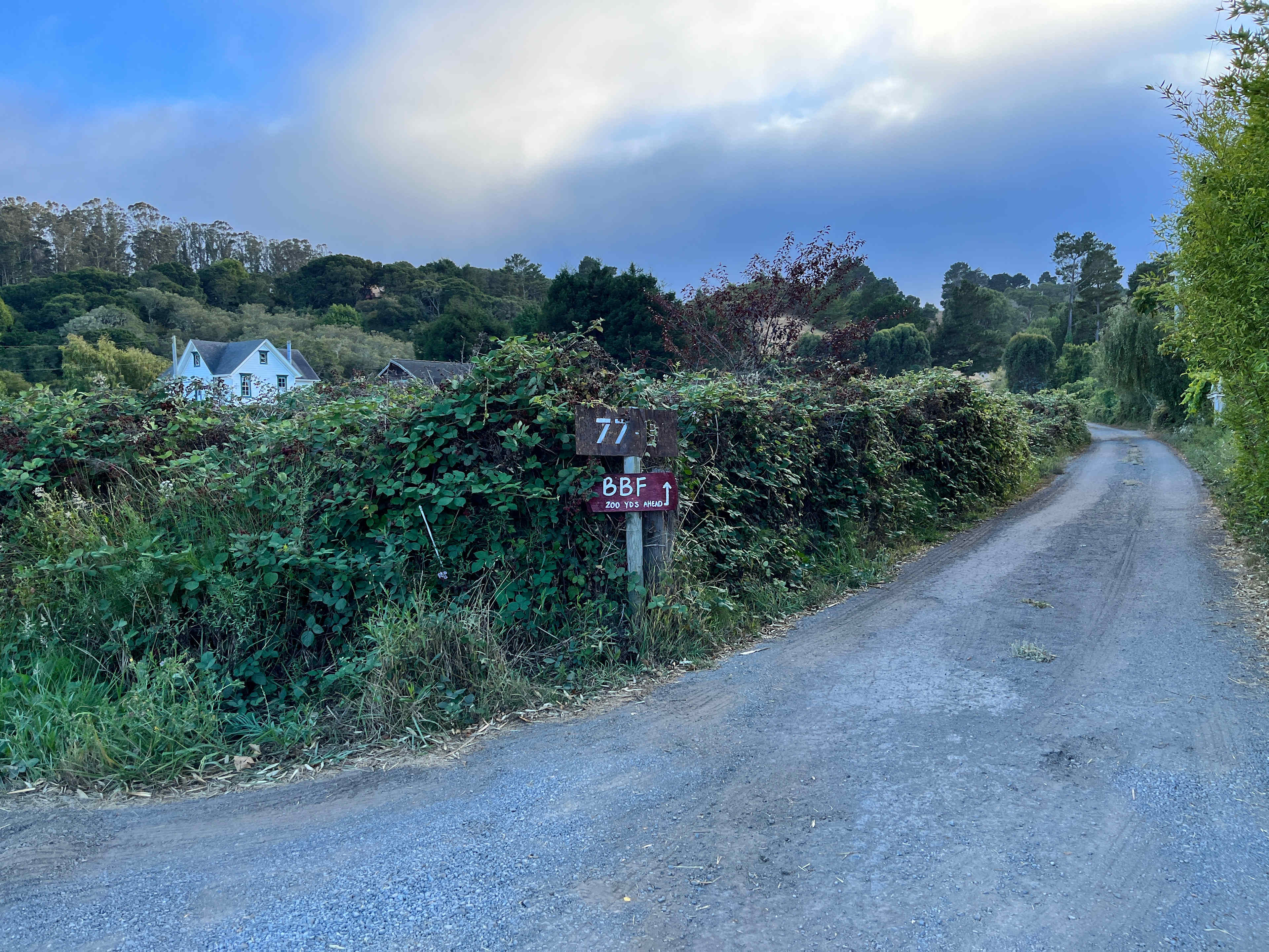 This is the turn off from Olema Bolinas Road immediately after the tall 2 story farmhouse. Slow down when you see the tall white farmhouse thats close to the road otherwise you’ll miss the turn onto the small lane.