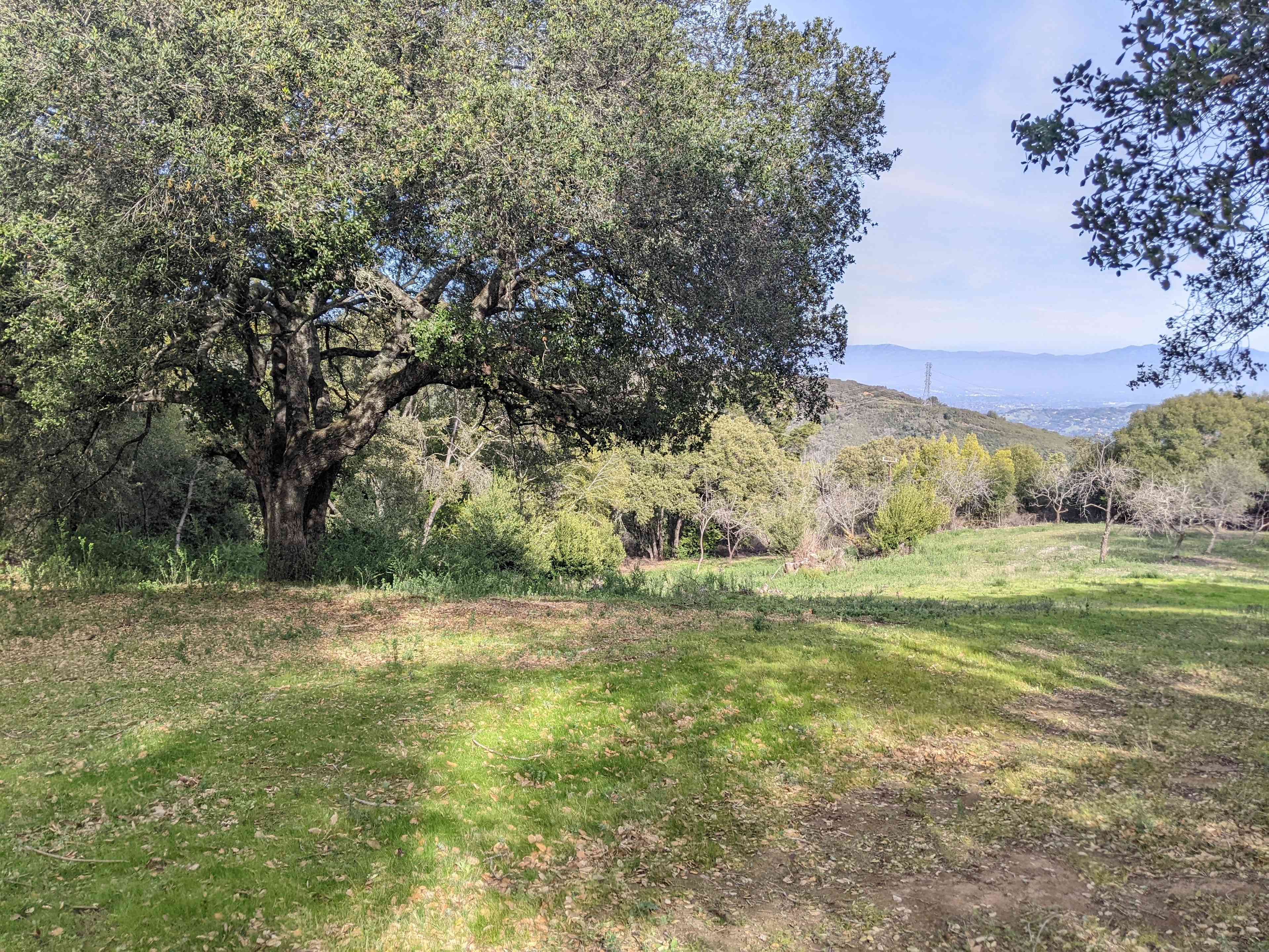 Camp Jaron