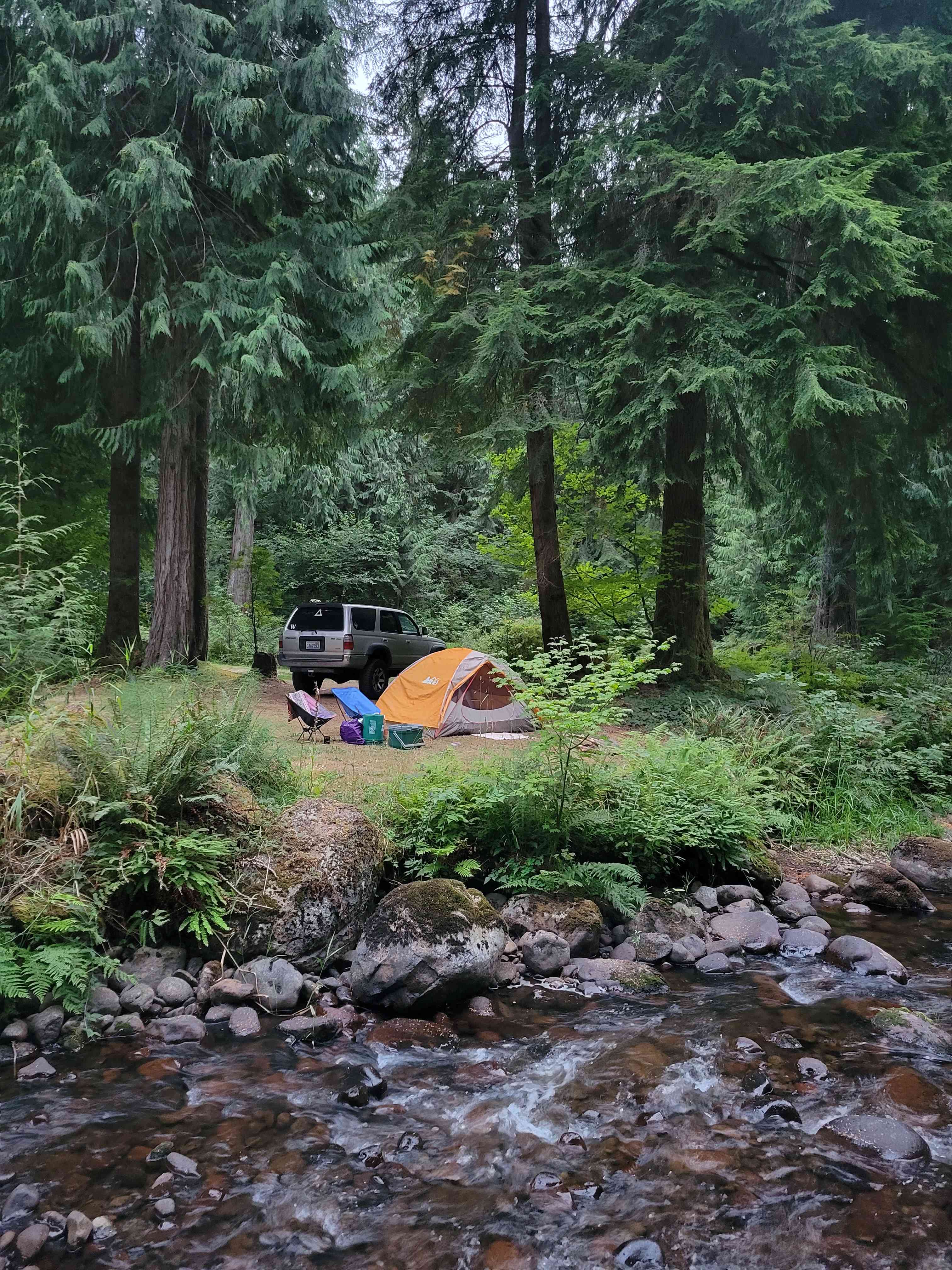 Camp Cedar Creek ⛺️🌲🚐