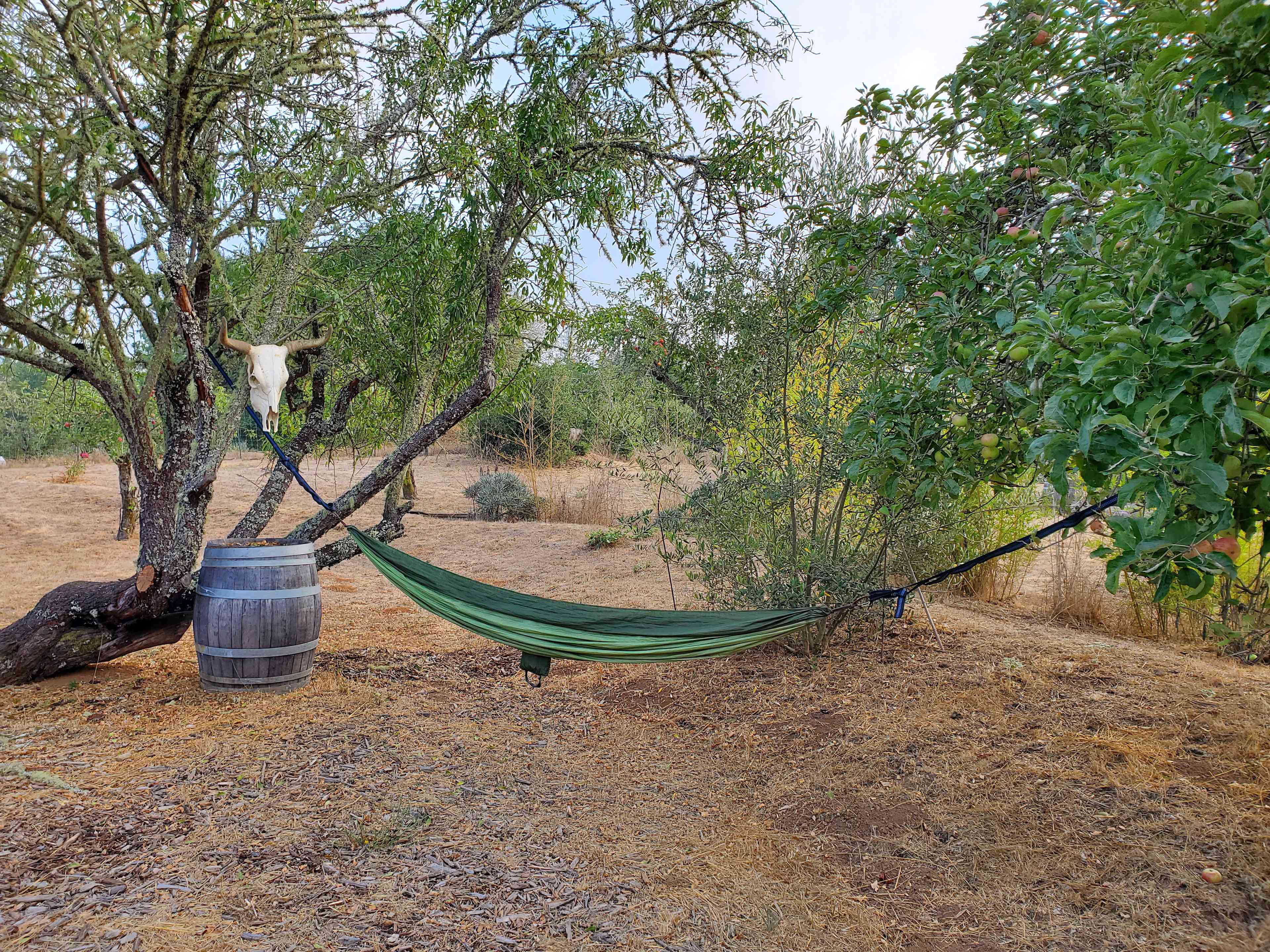 Rancho Laslendini