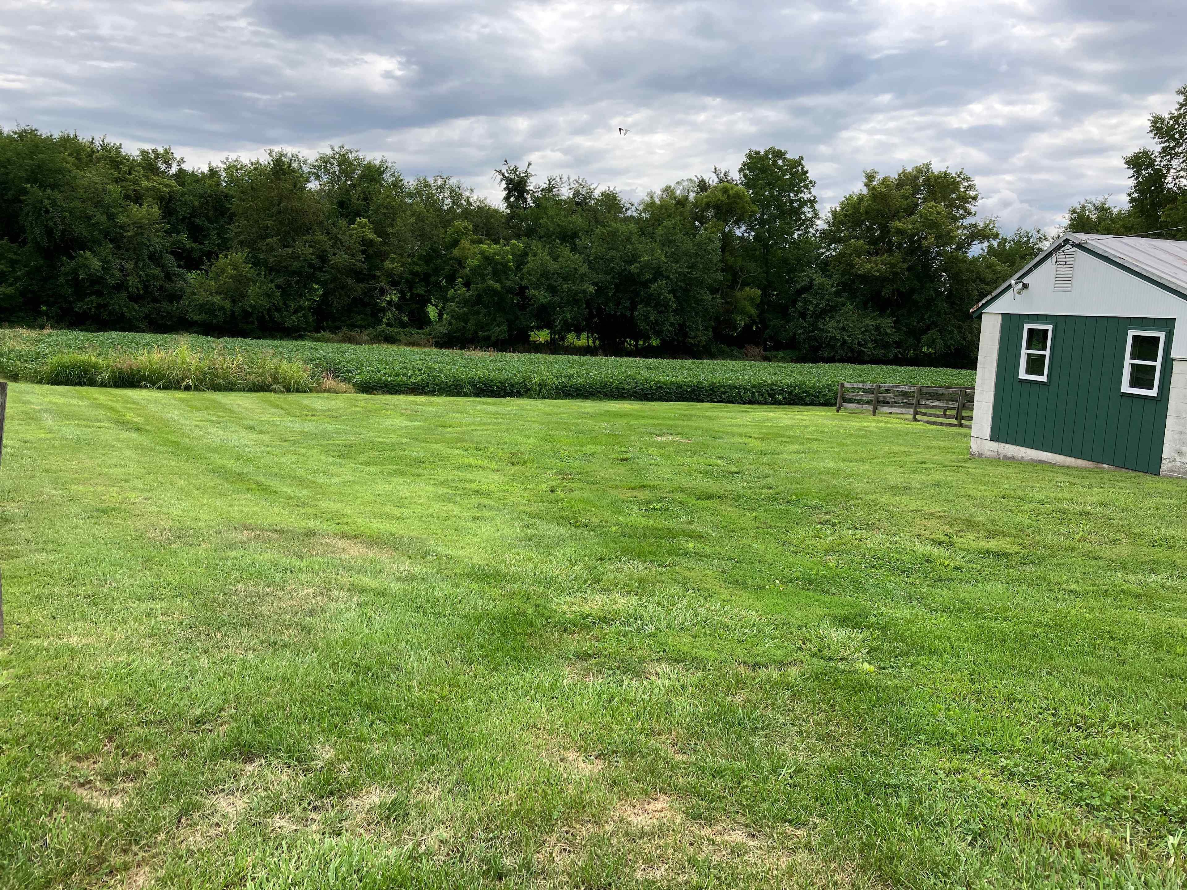 Flat mowed area for your tent or RV.  Electric and water available for hook up.  Great place for a party.
