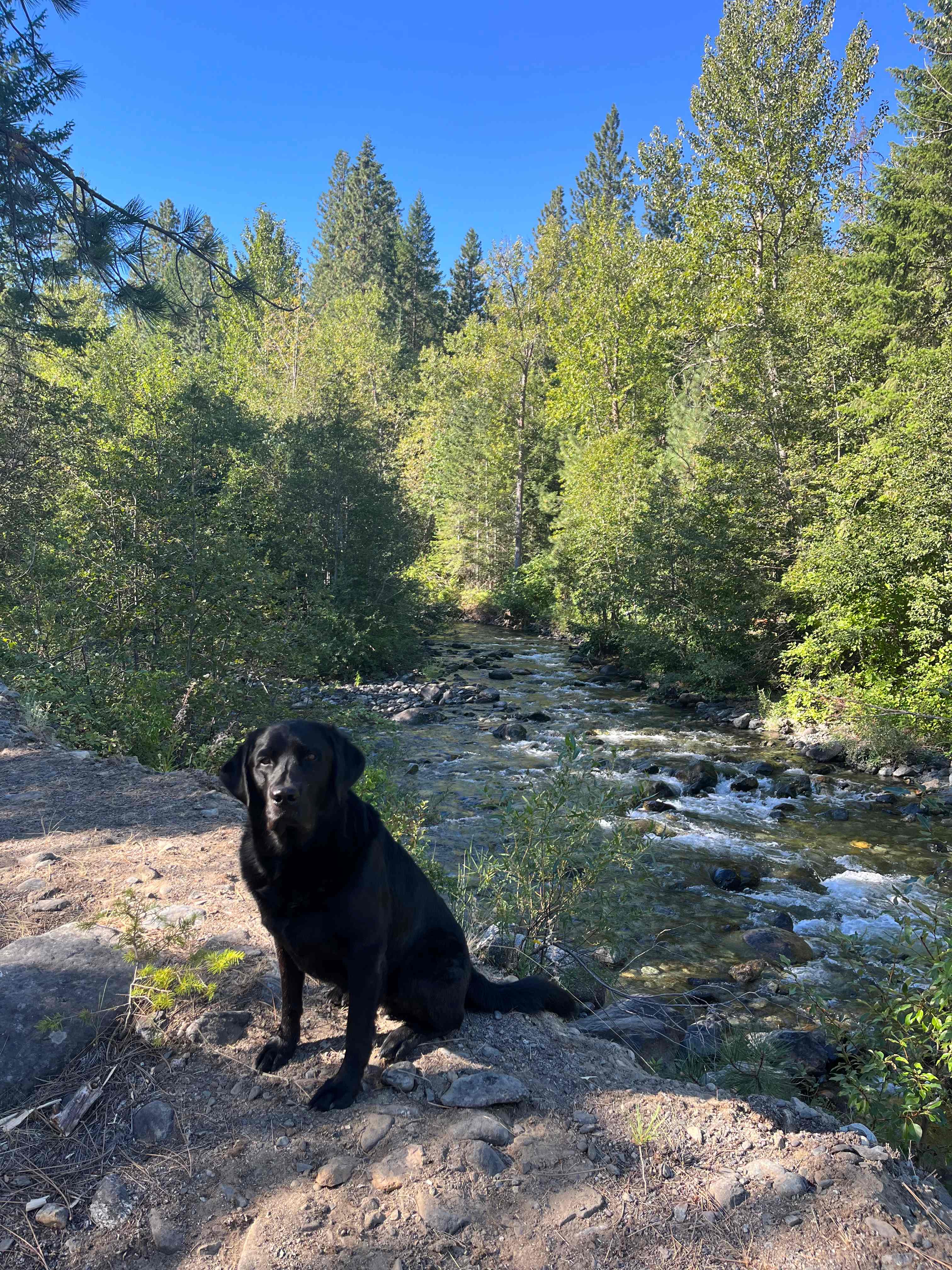 Flussfelsen Campground