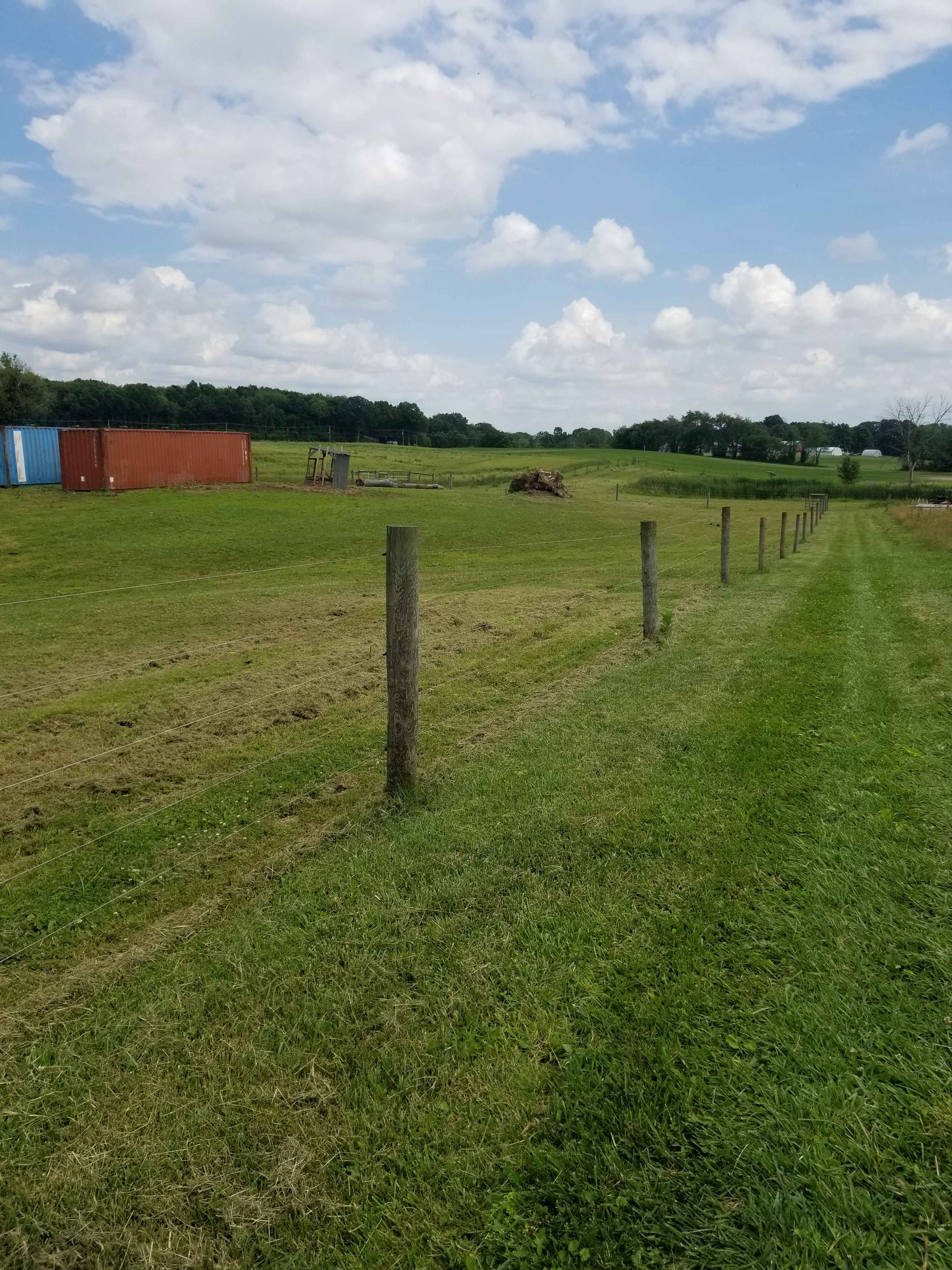 Lane leading down to the camp spots