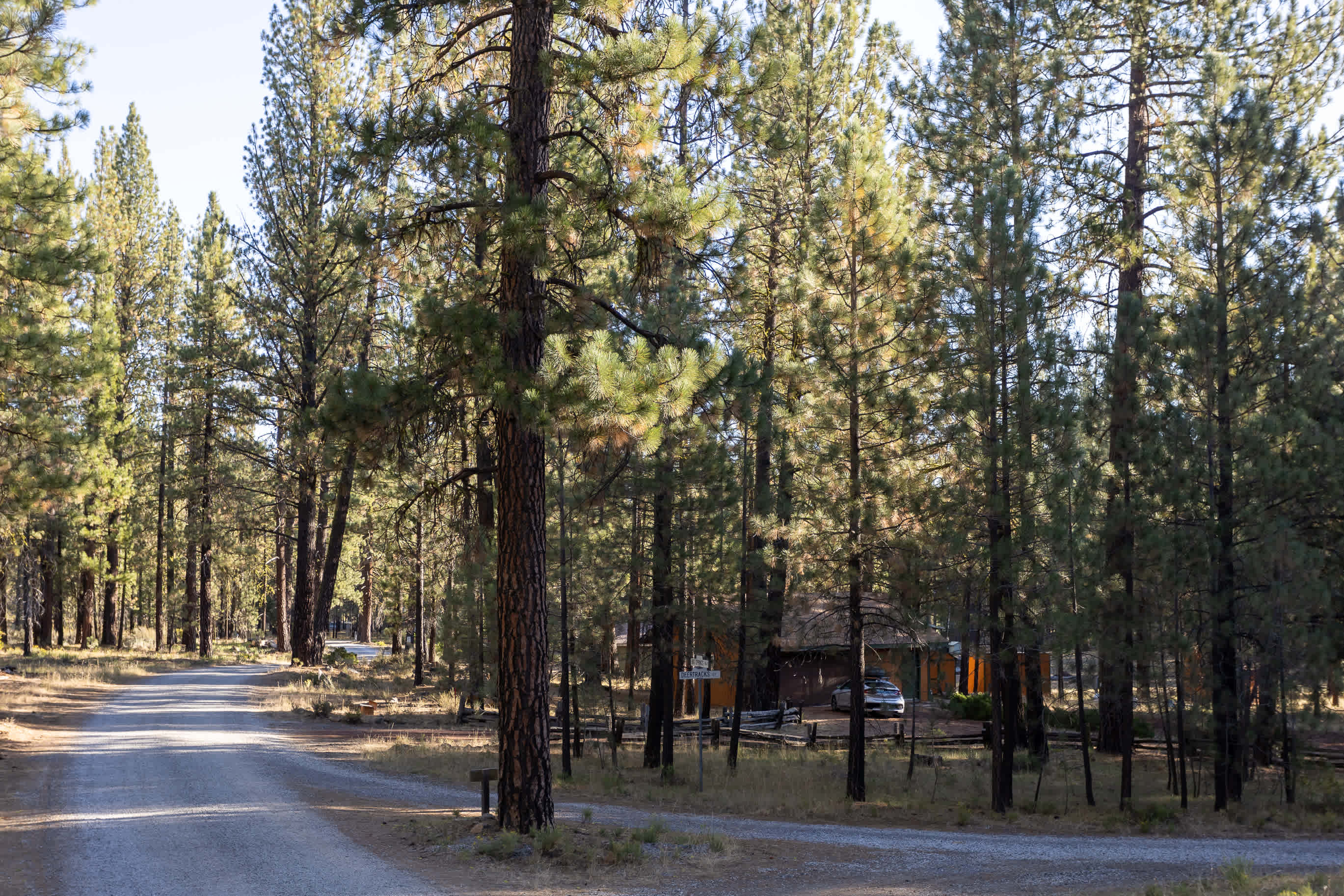 Lassen Glampsite (No Electricity)