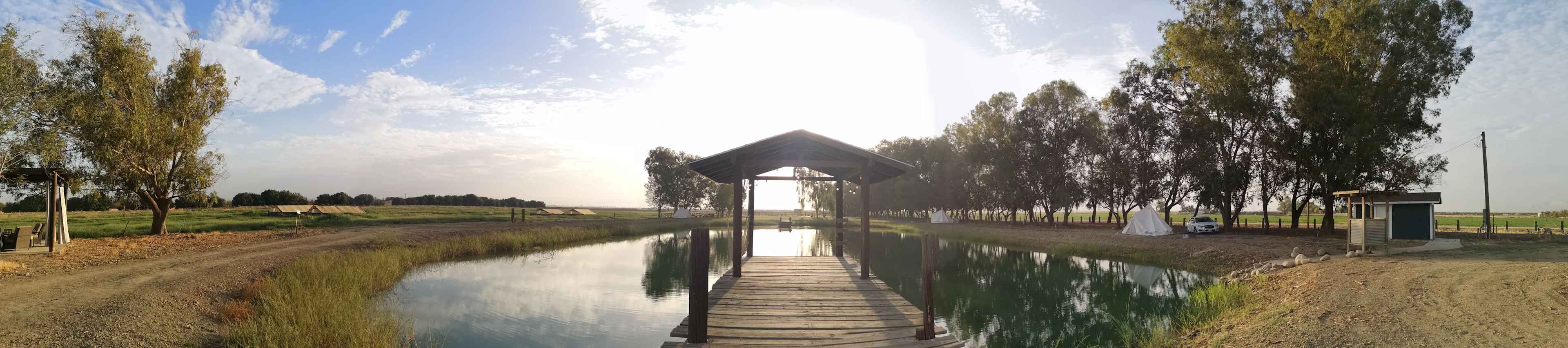 View of the pond from the dock during morning. 