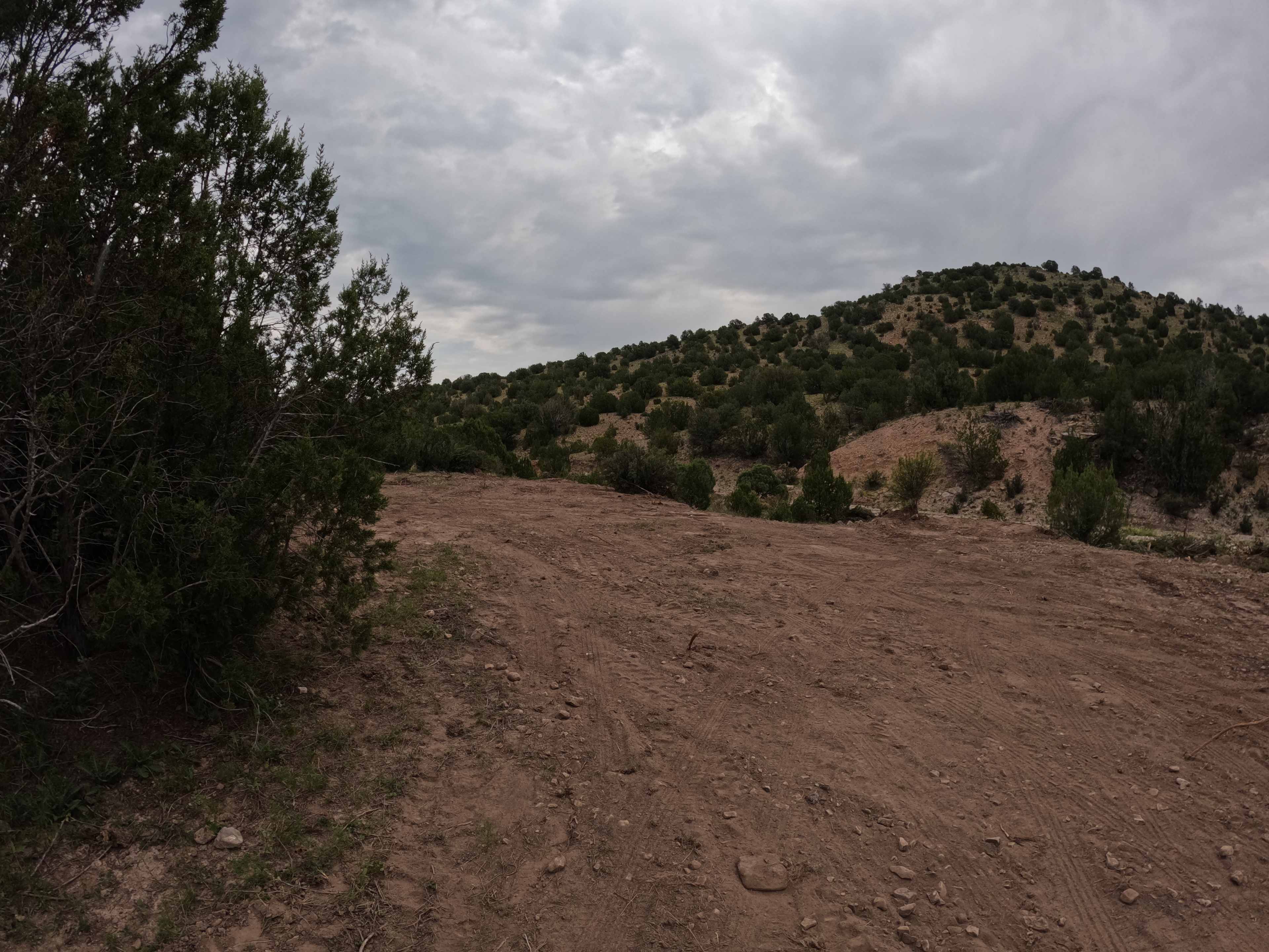 Cienega Arroyo Ranch