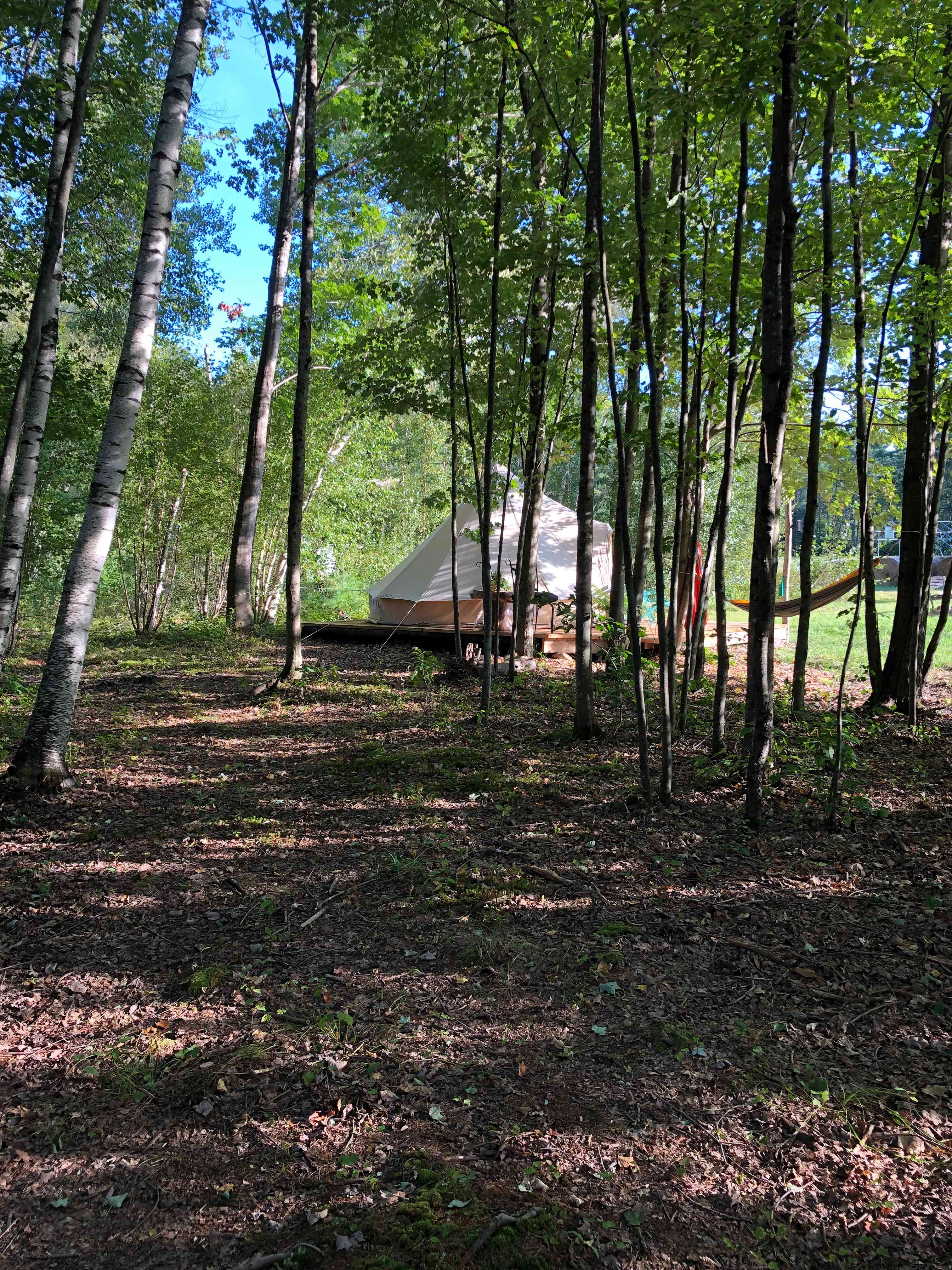 Camp Frogginton