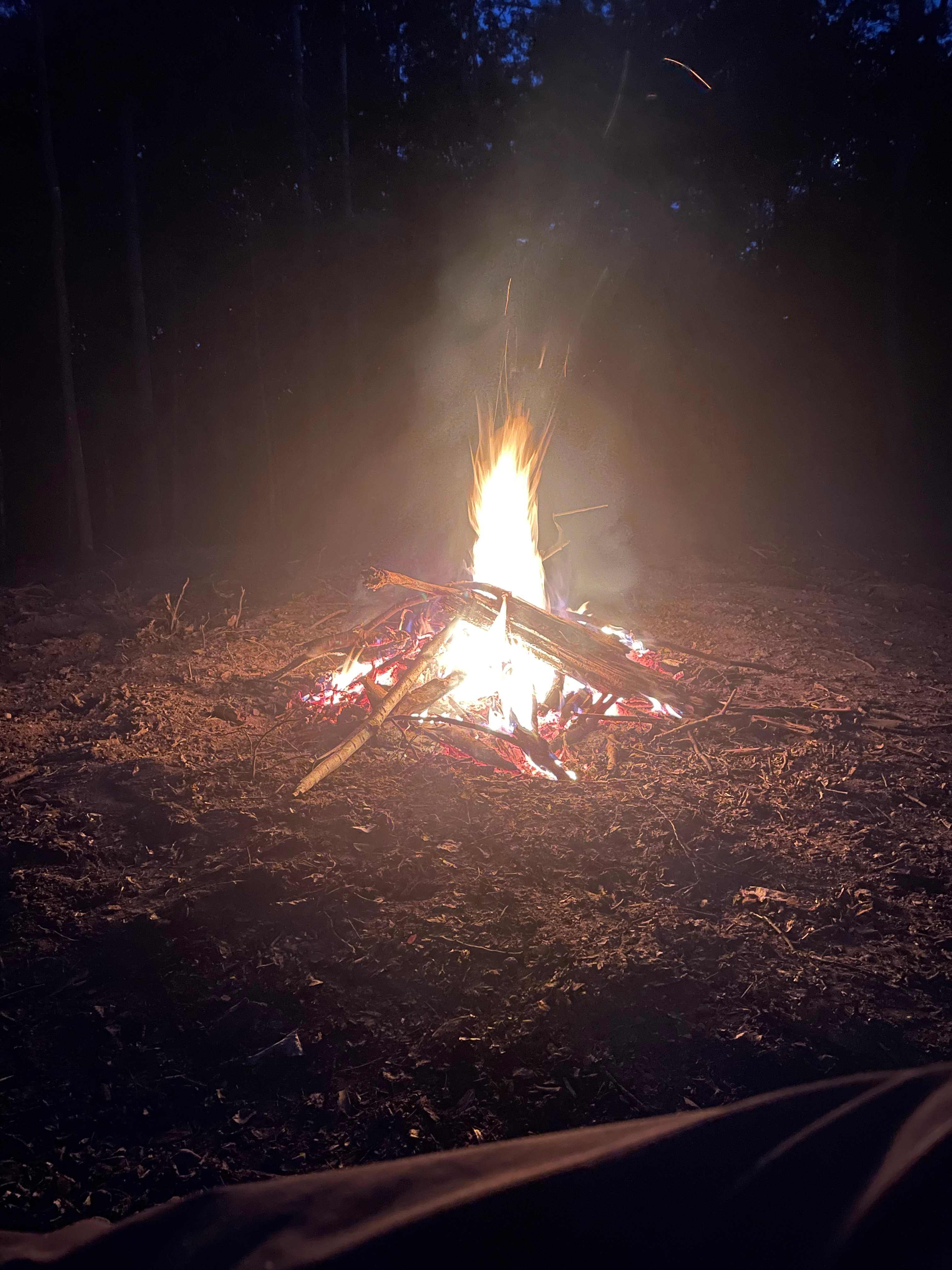 Duck duck camp