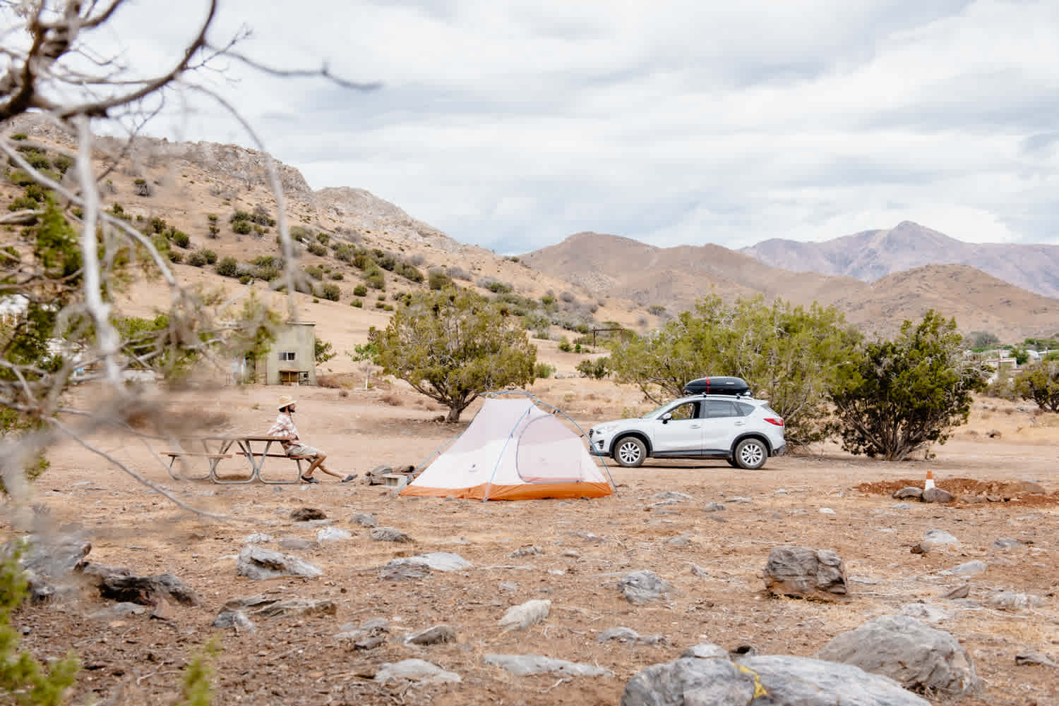 Wandering Star Ranch