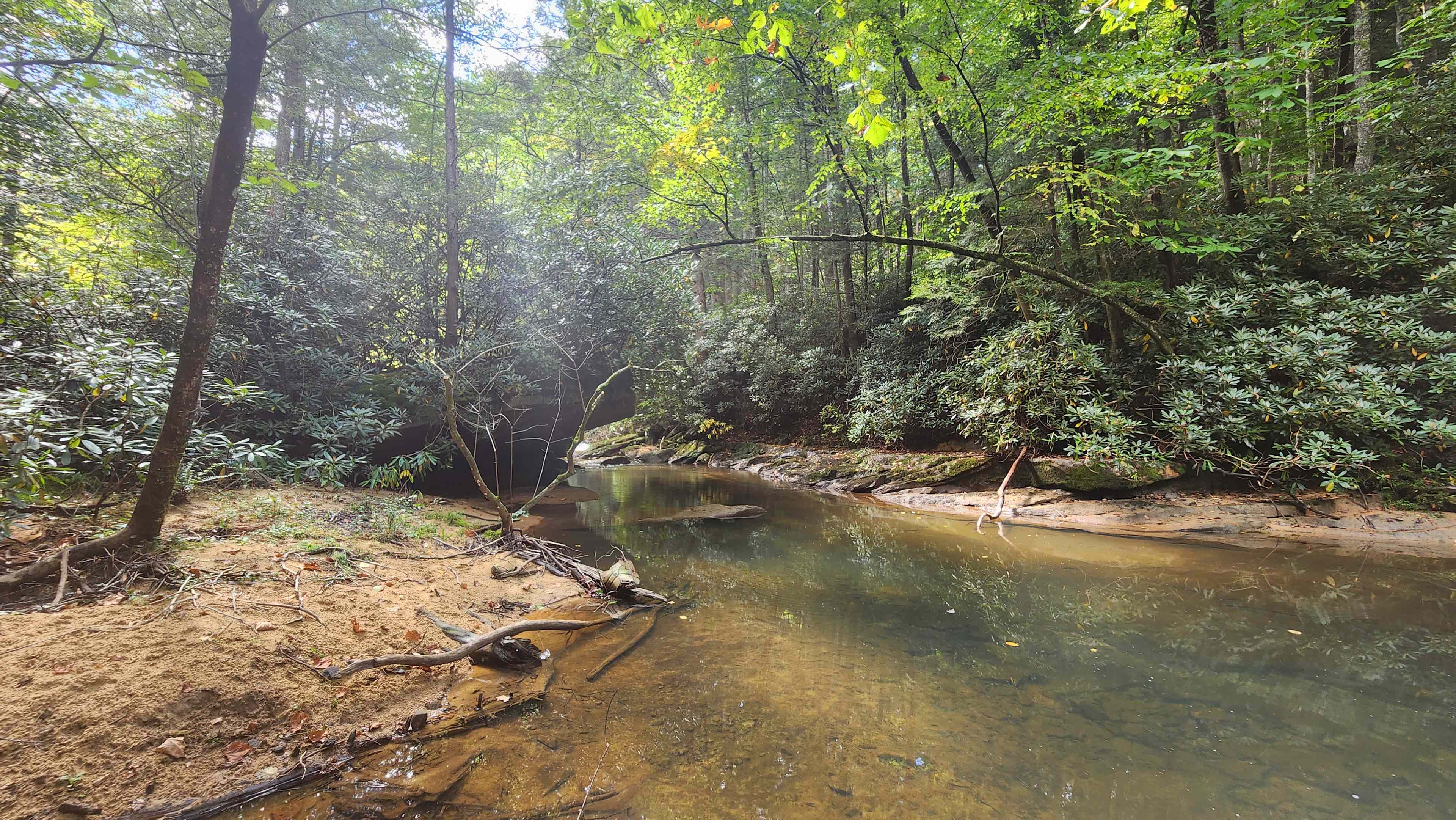 Possum Holler Camp- New River Gorge