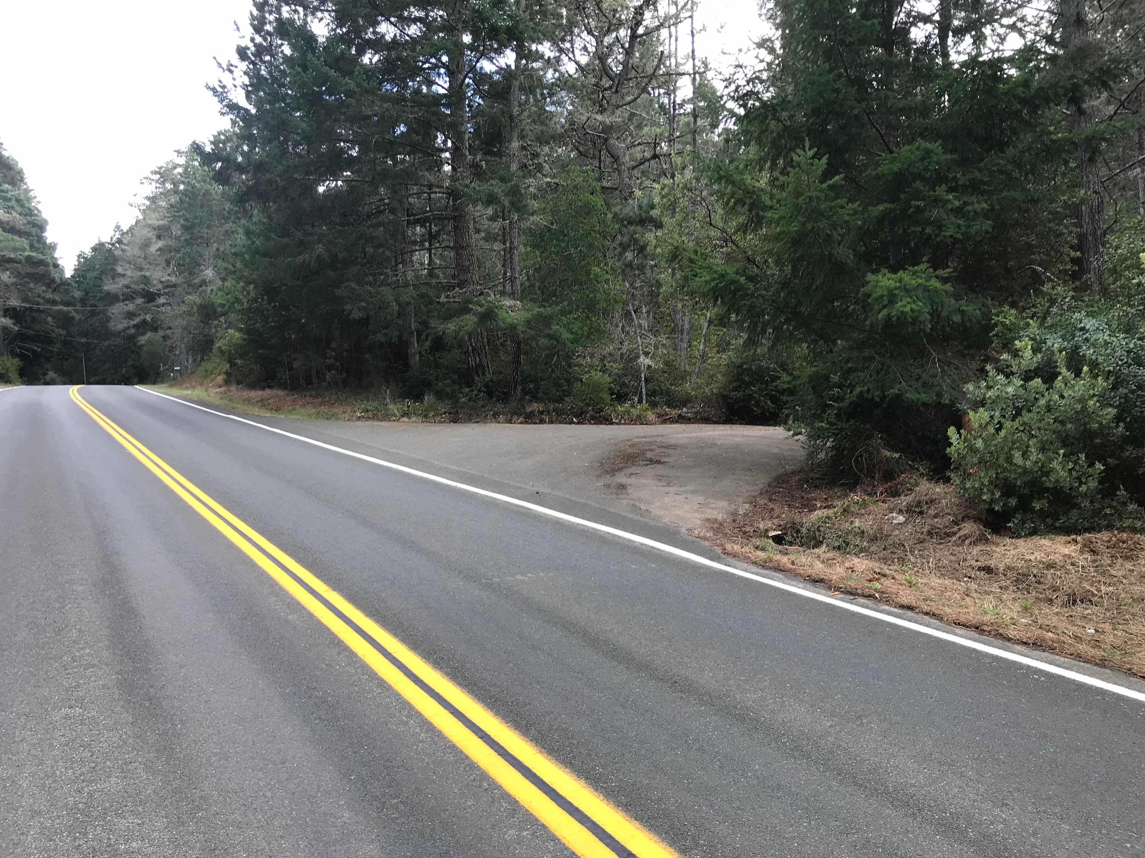 looking south on Ten Mile Rd approx 200 yds from my driveway at 25200