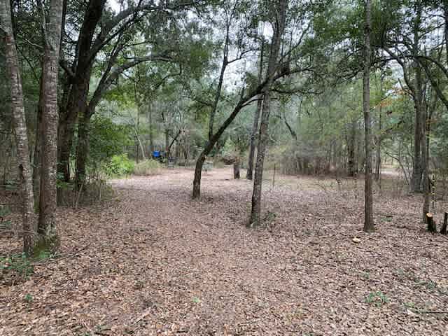 Too Many Oaks Plantation