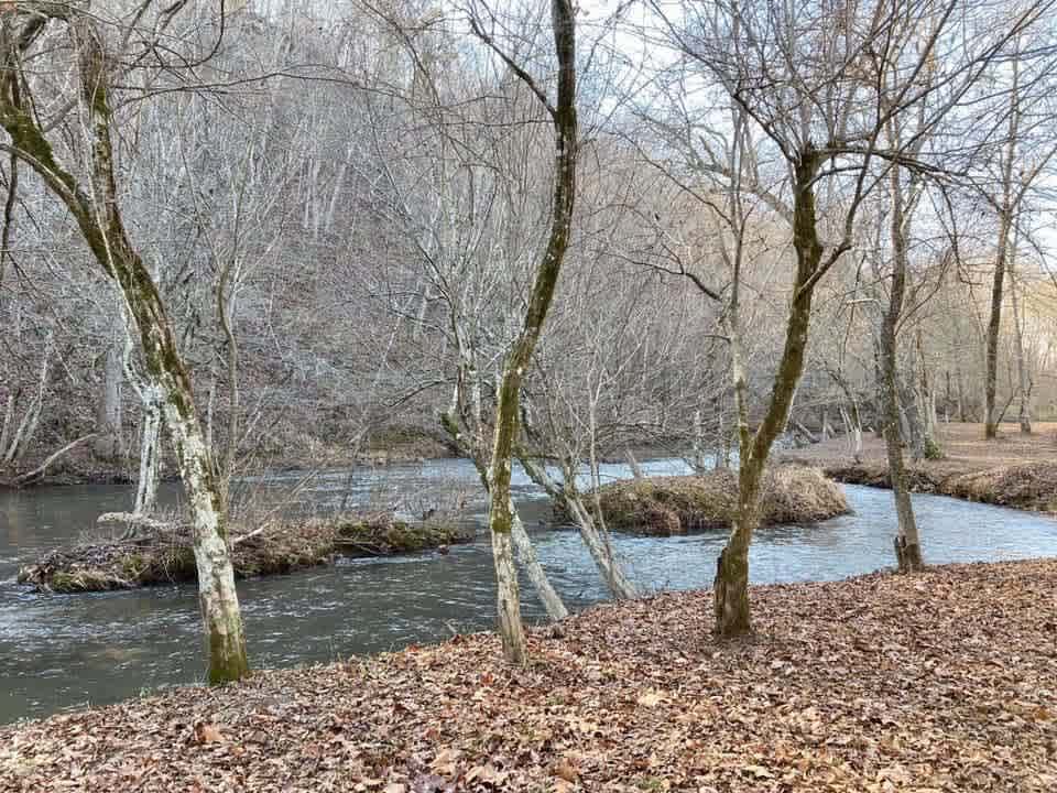 Private 14 acre Creekside Cabin
