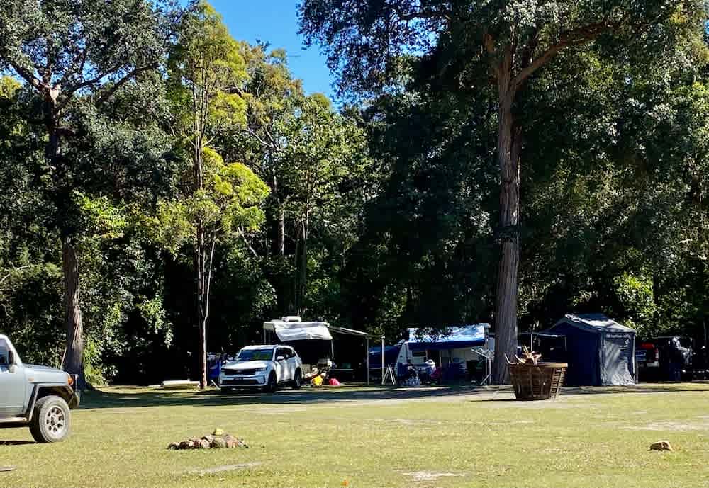 We offer a choice of shady or more sunny Campsites