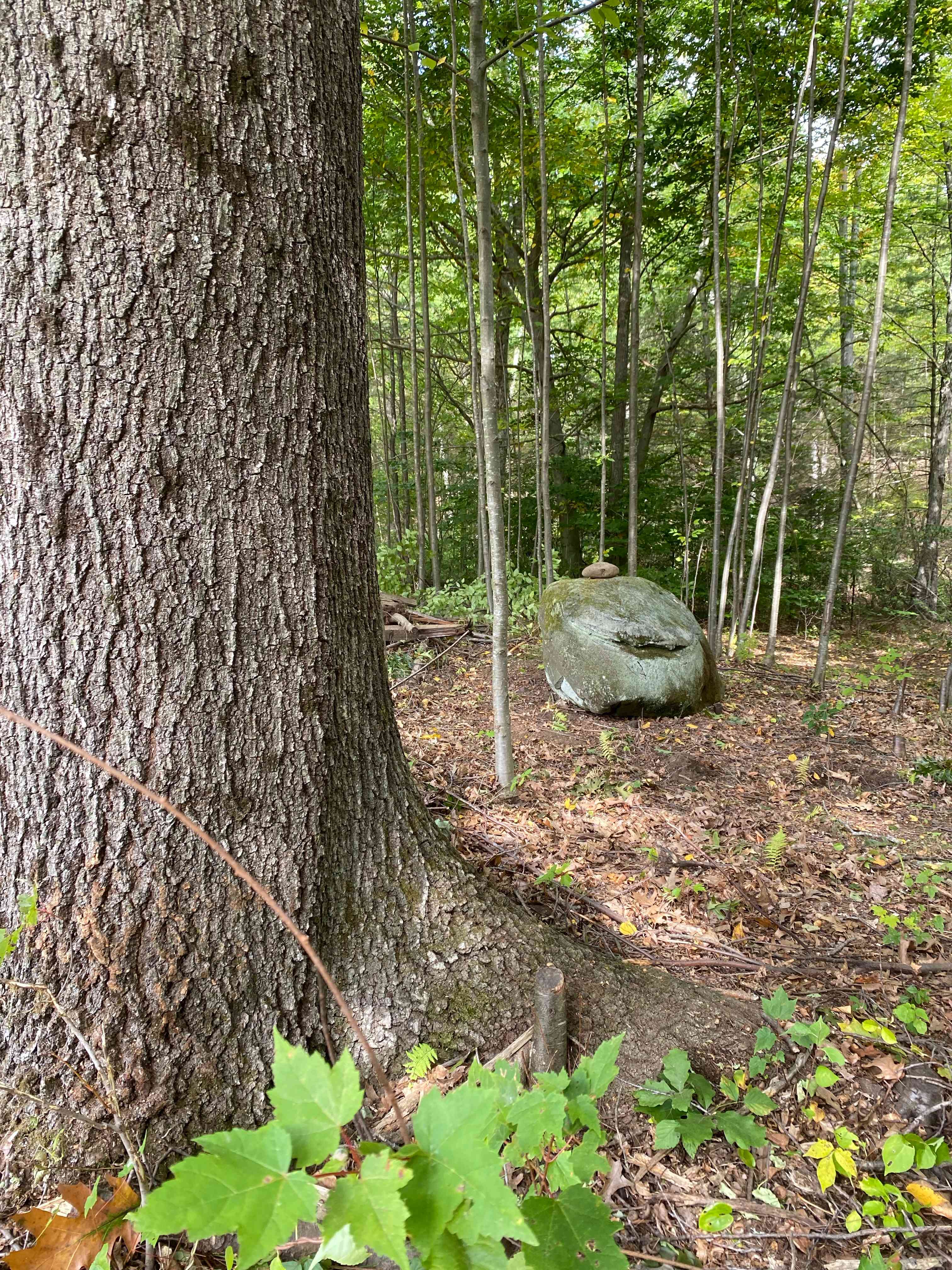 Hickory Ridge