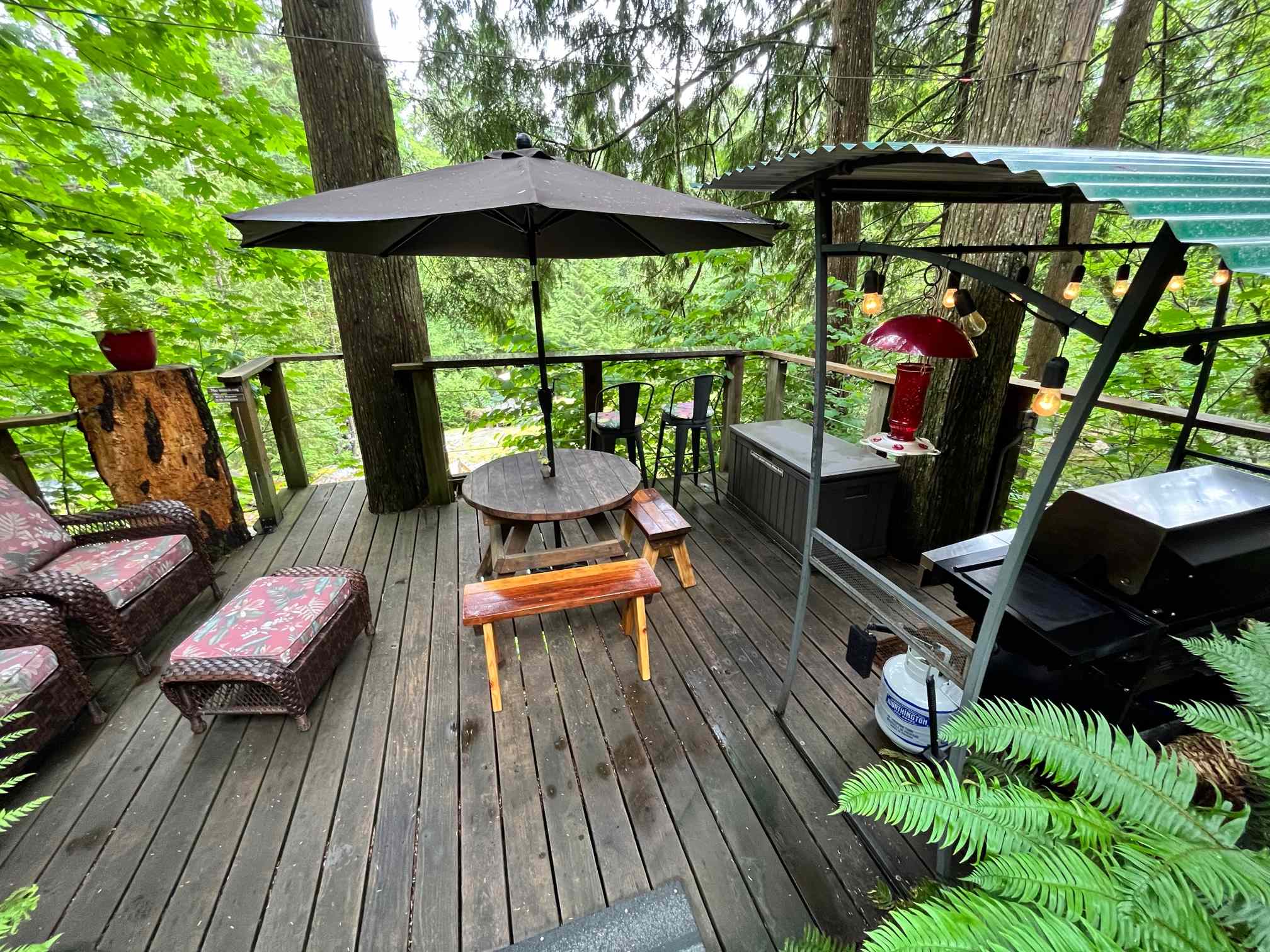 An Experience!-Golden Ears Glamping