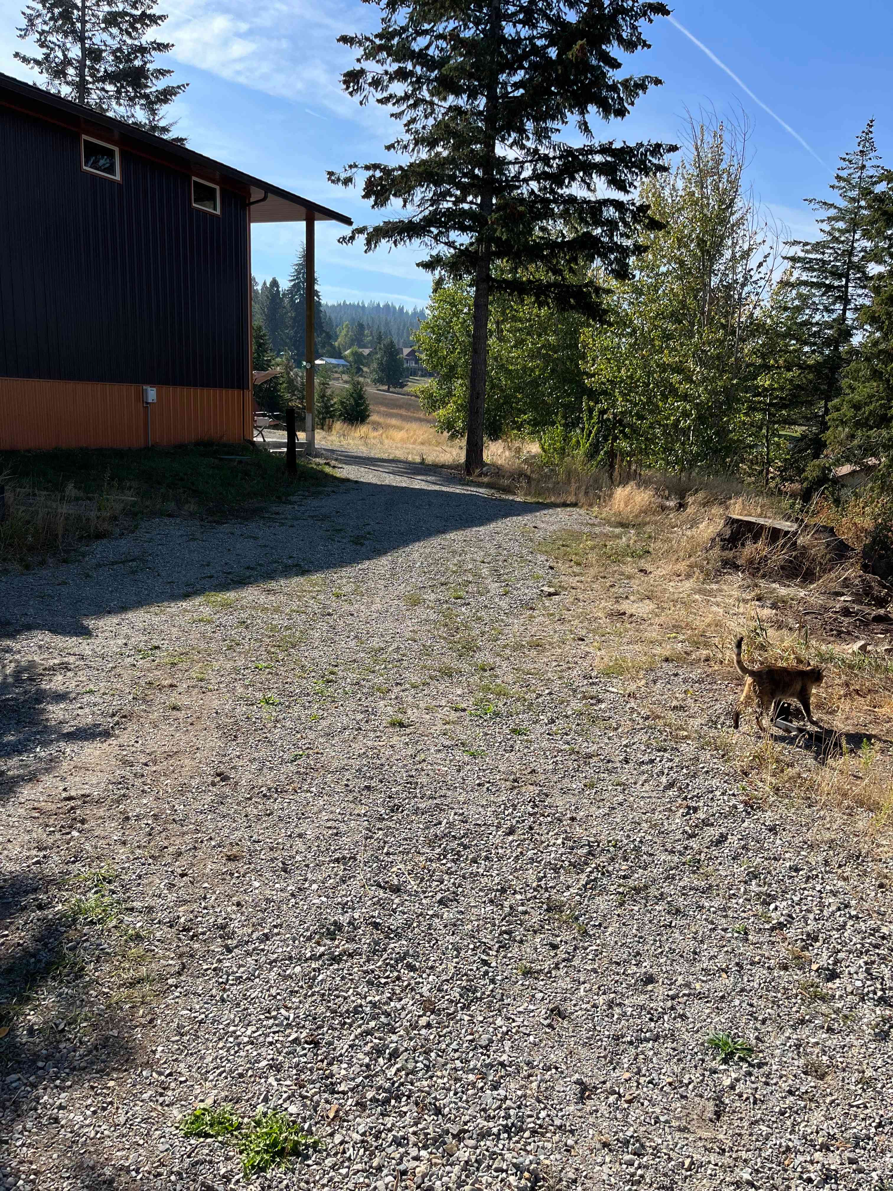 Spacious pull through for parking, featuring our cat Millie.