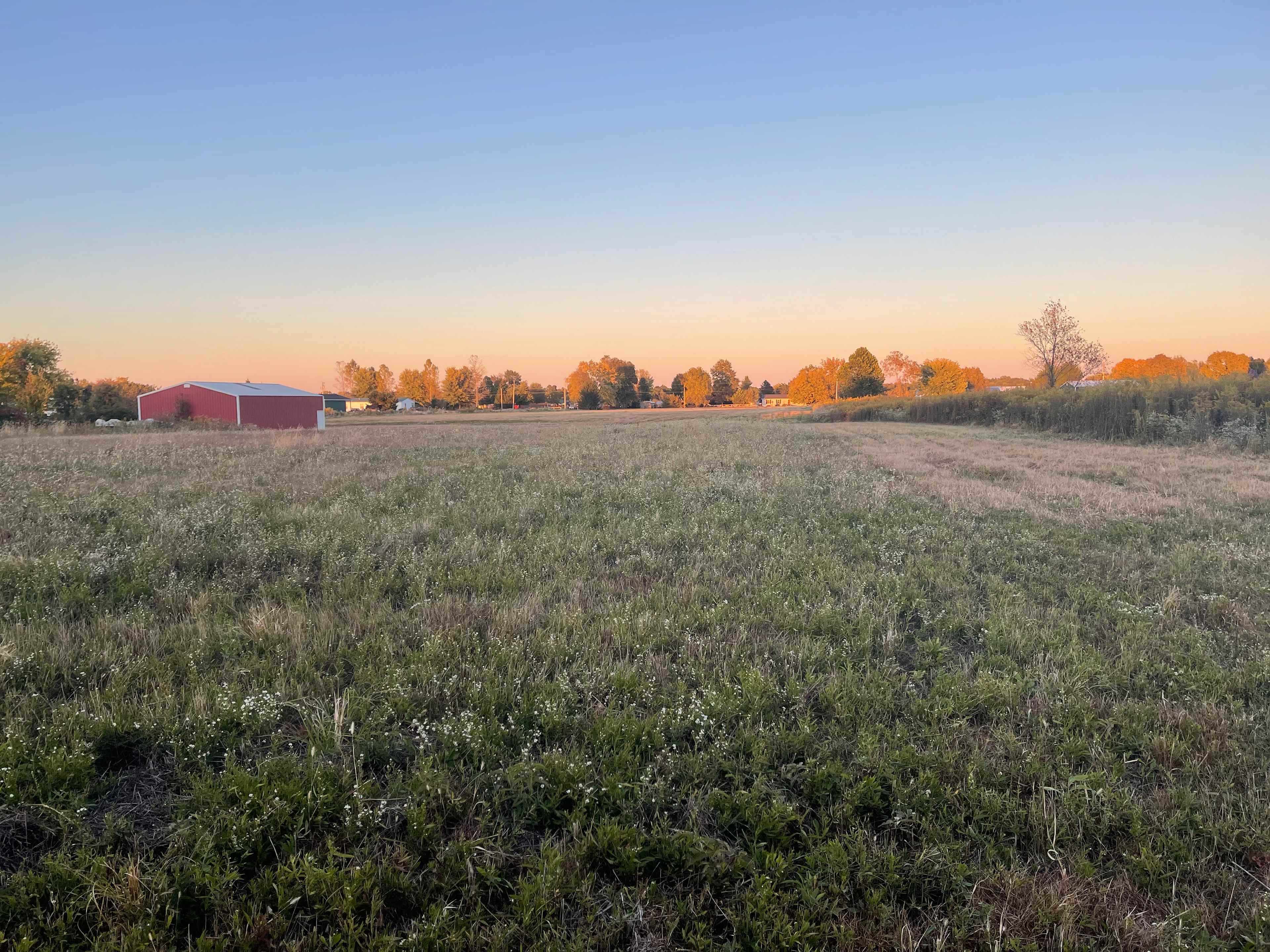 Open Meadows Farm
