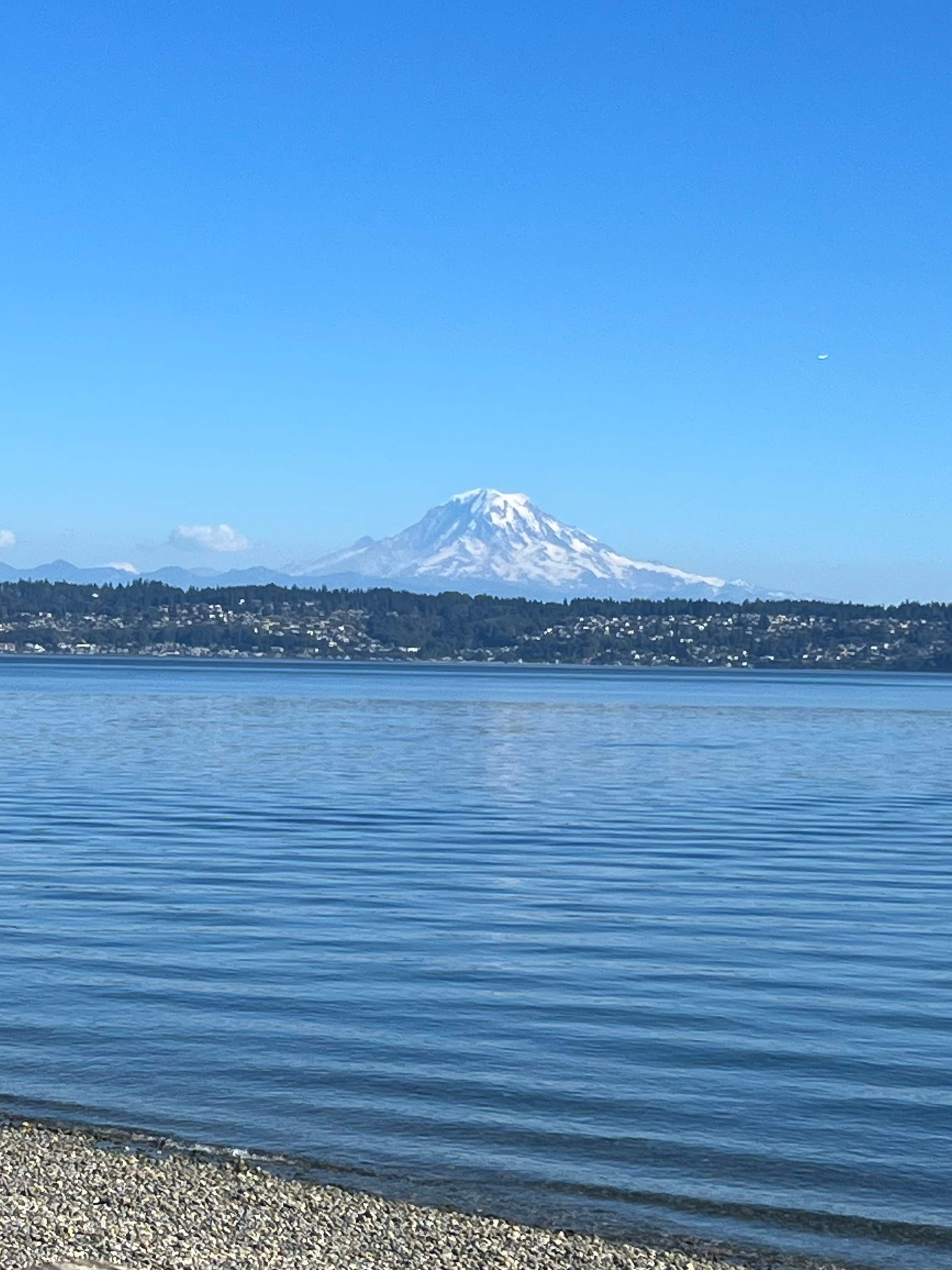 View from the bluff and beach.