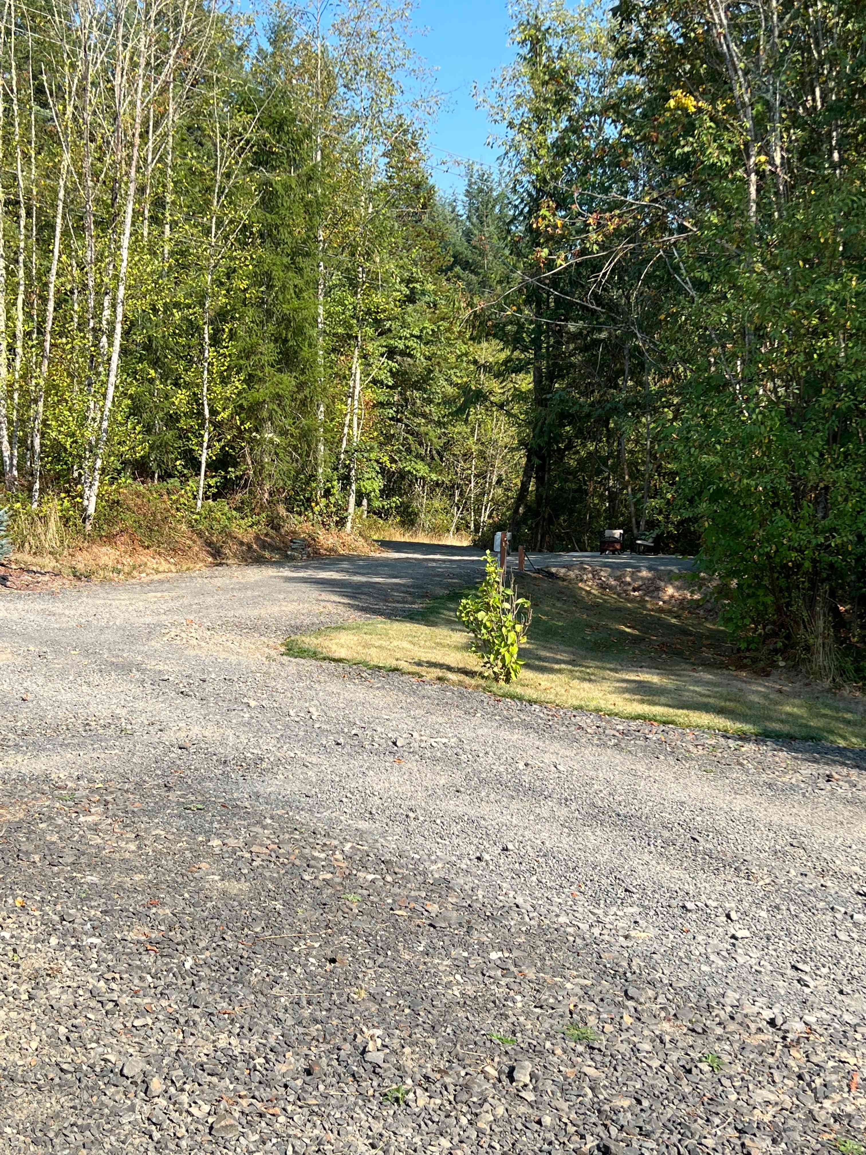 WOODED CAMPERS DELIGHT