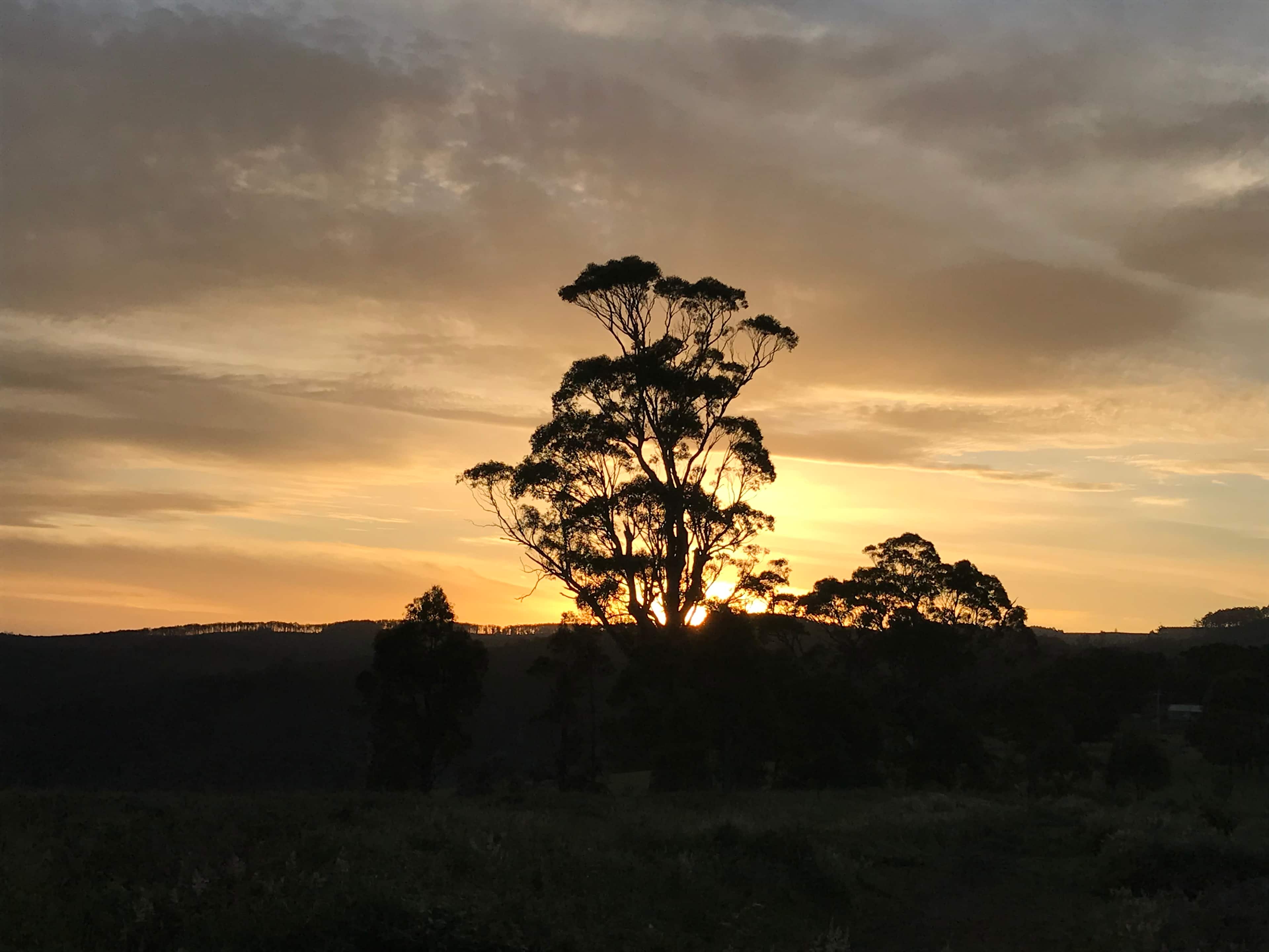 Serenity Hill Camp Grounds