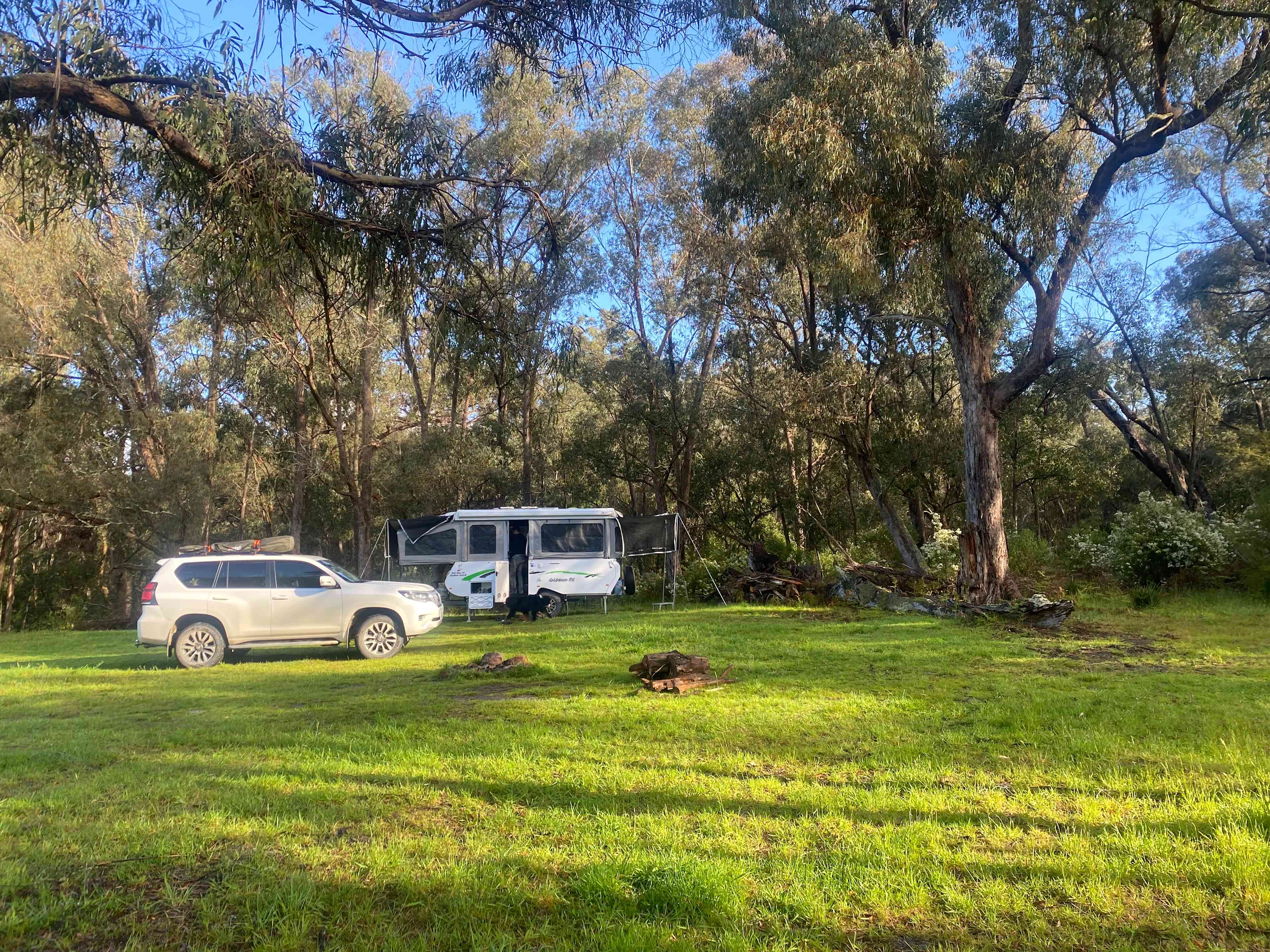 Bruthen Creek Pastoral Farmstay