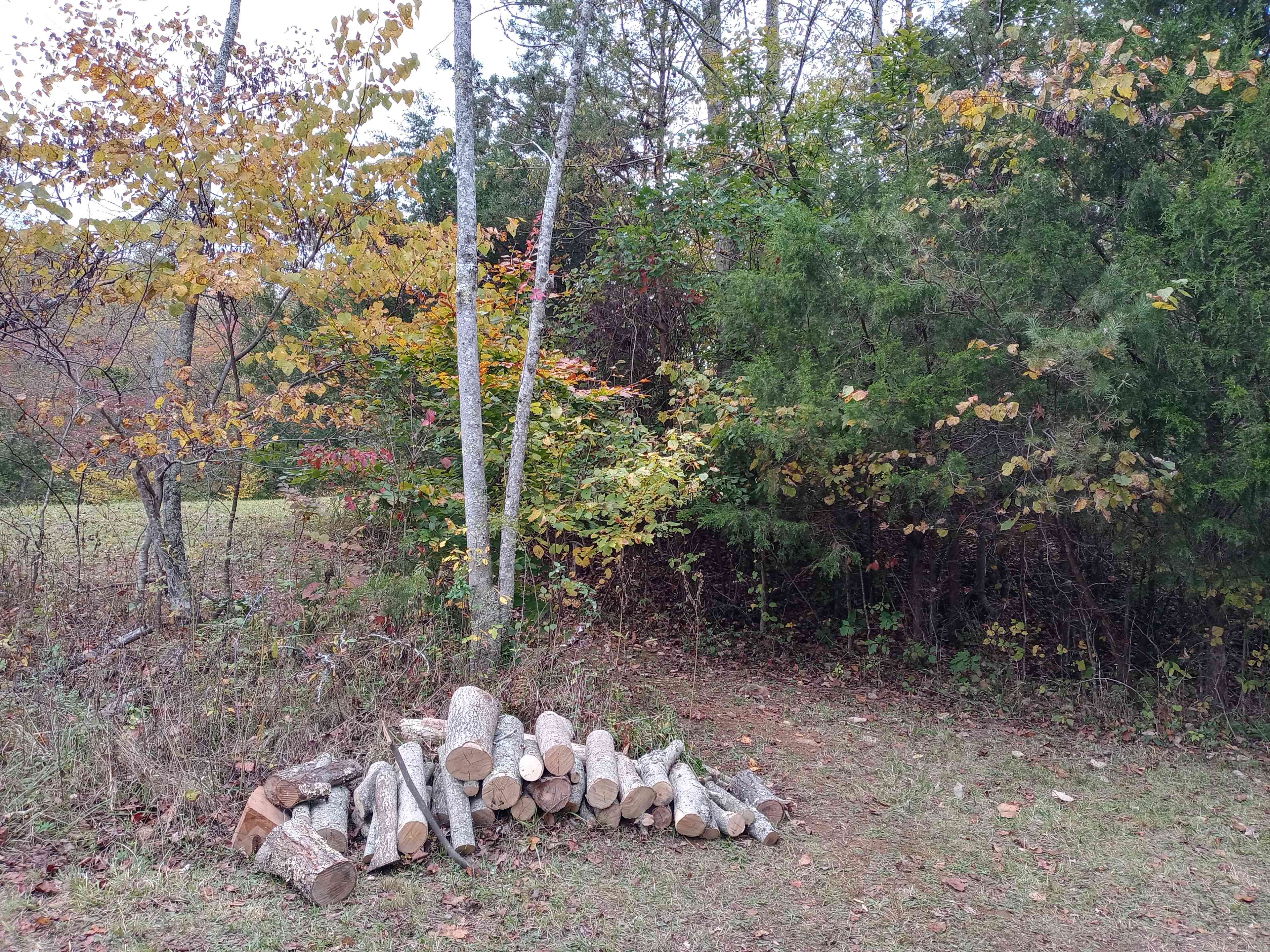 Free wood from the host.