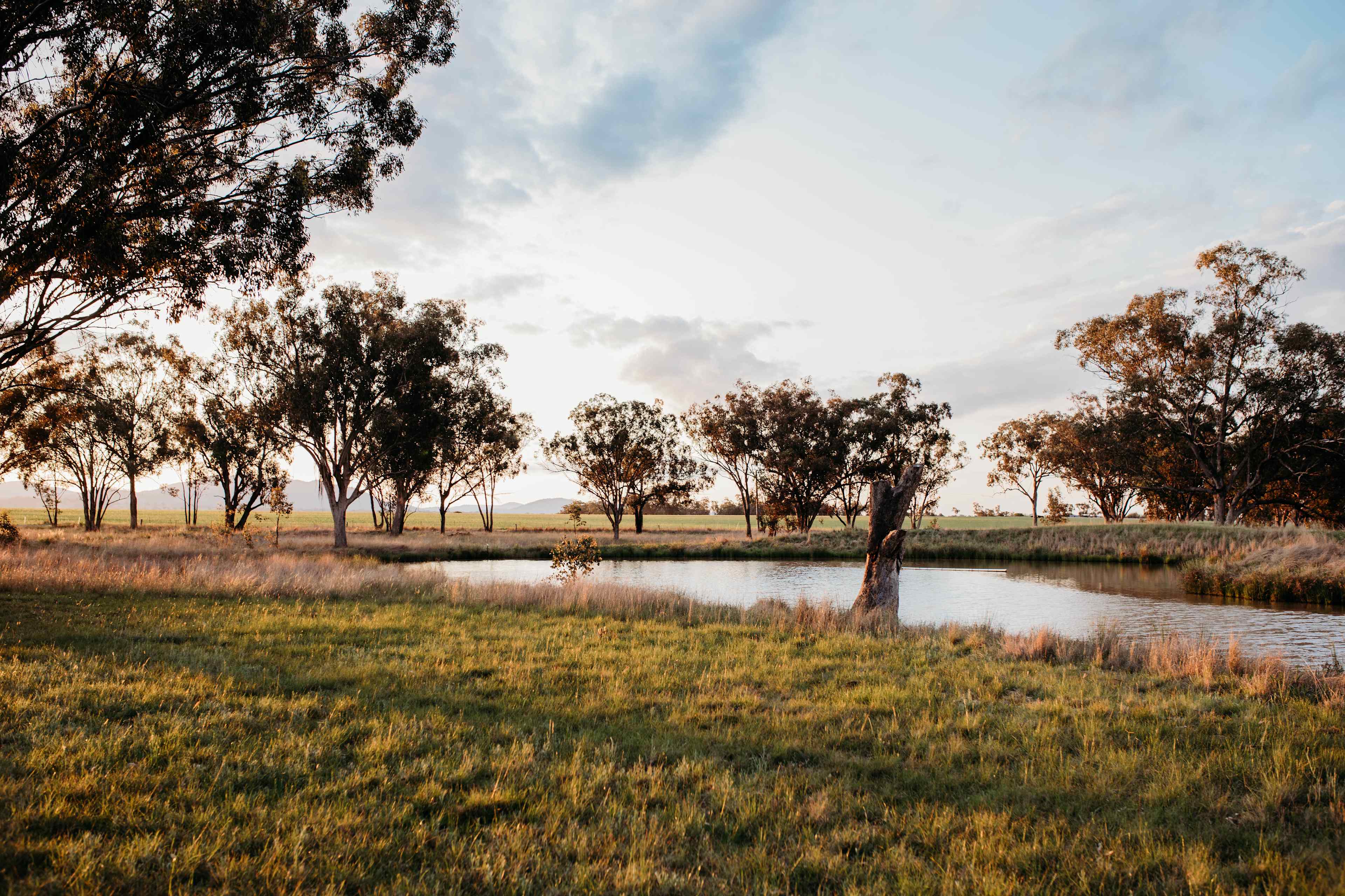 Edgecote Camping