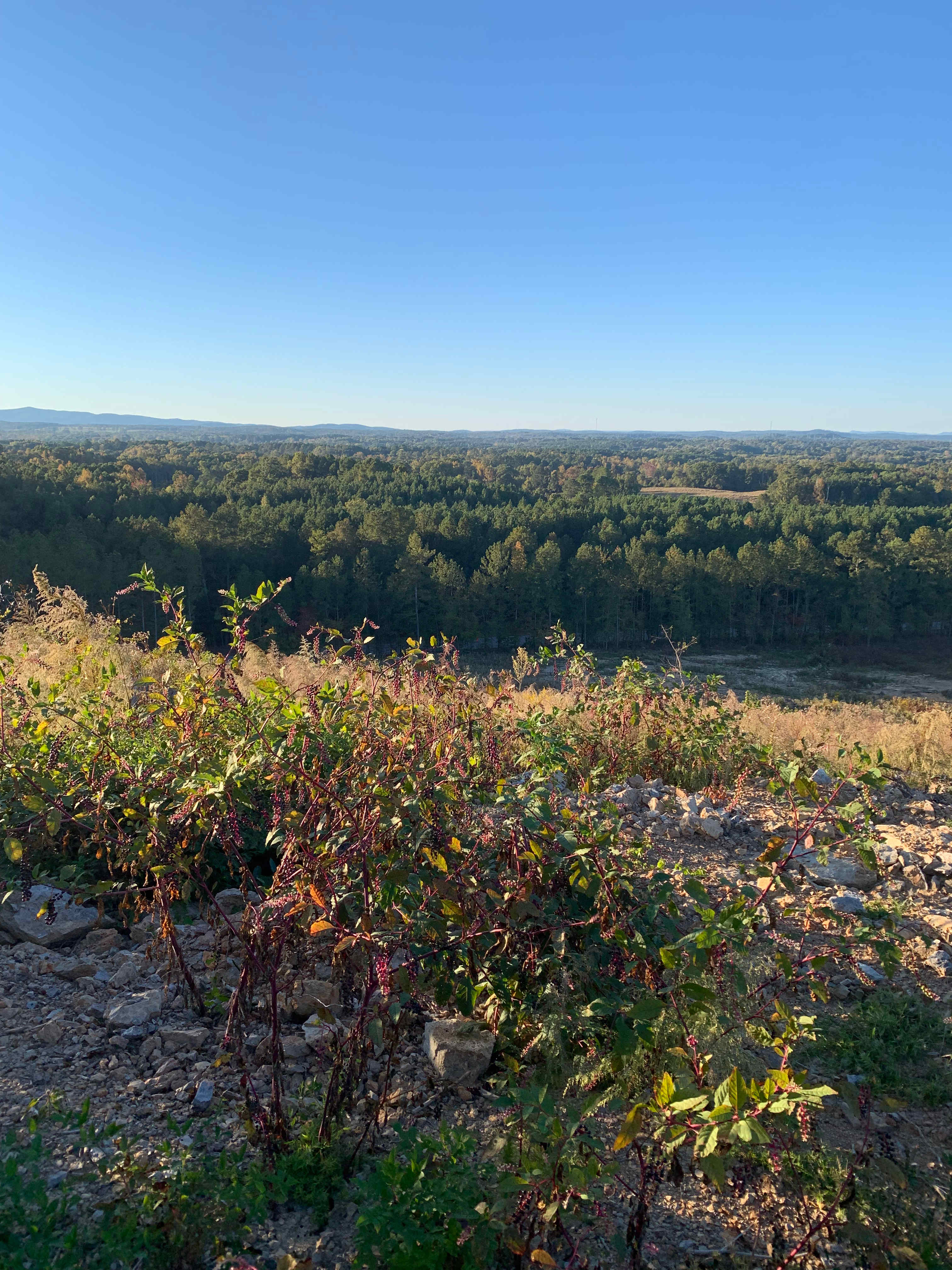 Appalachian Foothills Farm