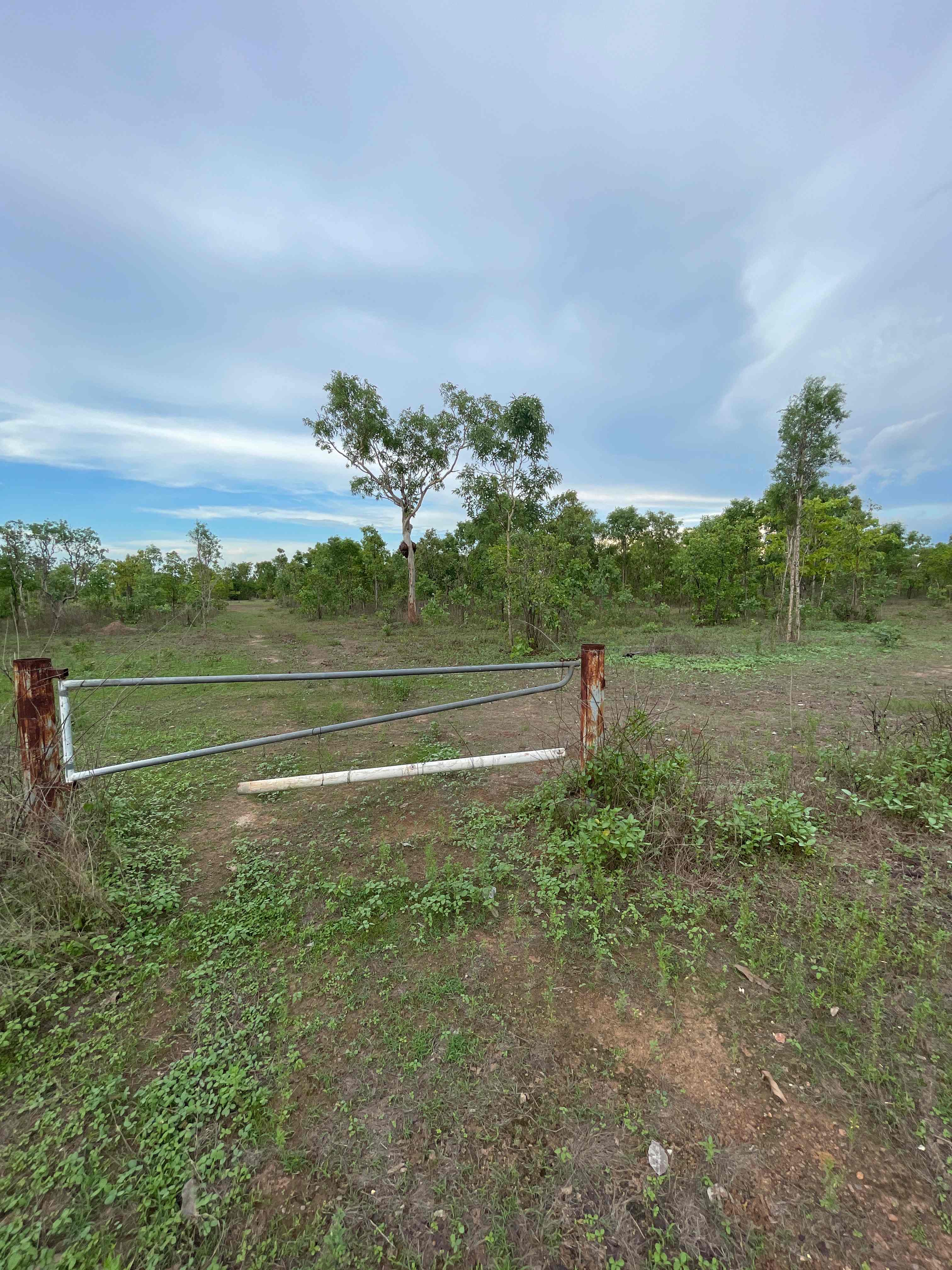 Williams family farm