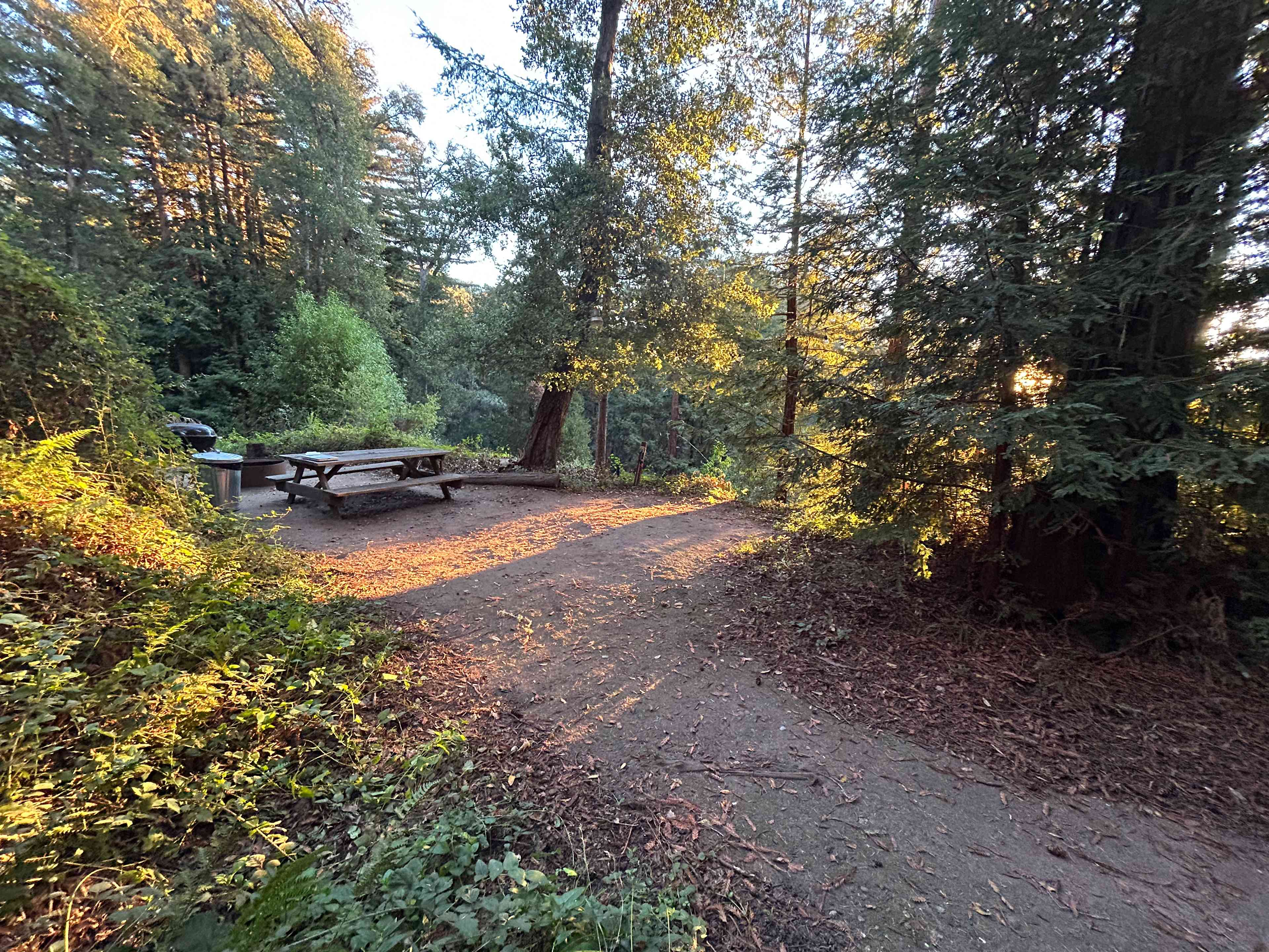 Campsite