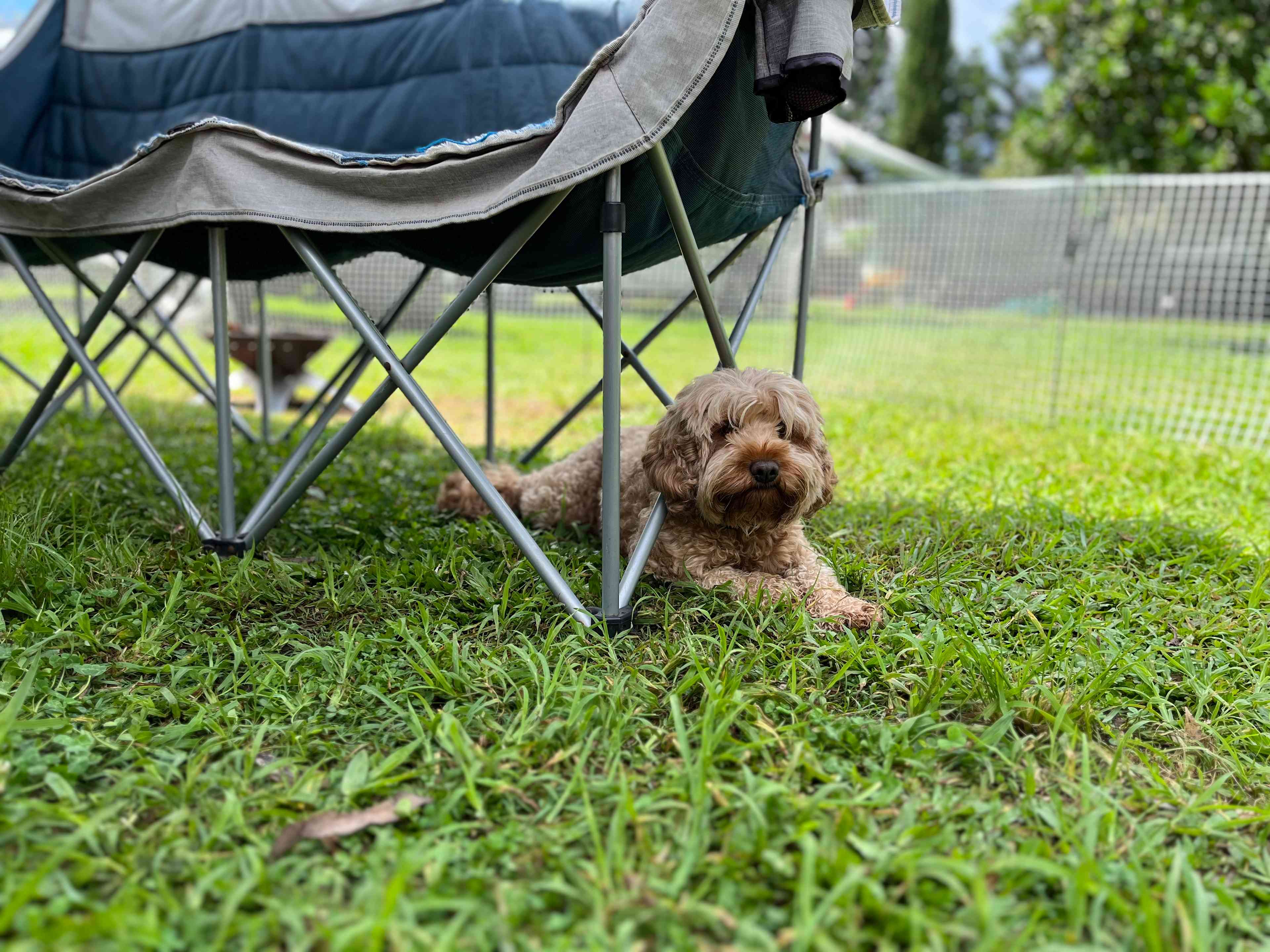 Sublime Camping
