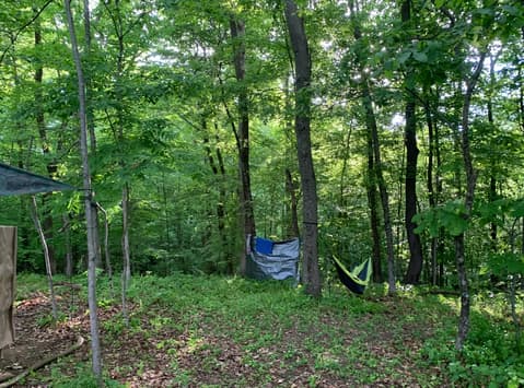 Great places to hammock!
