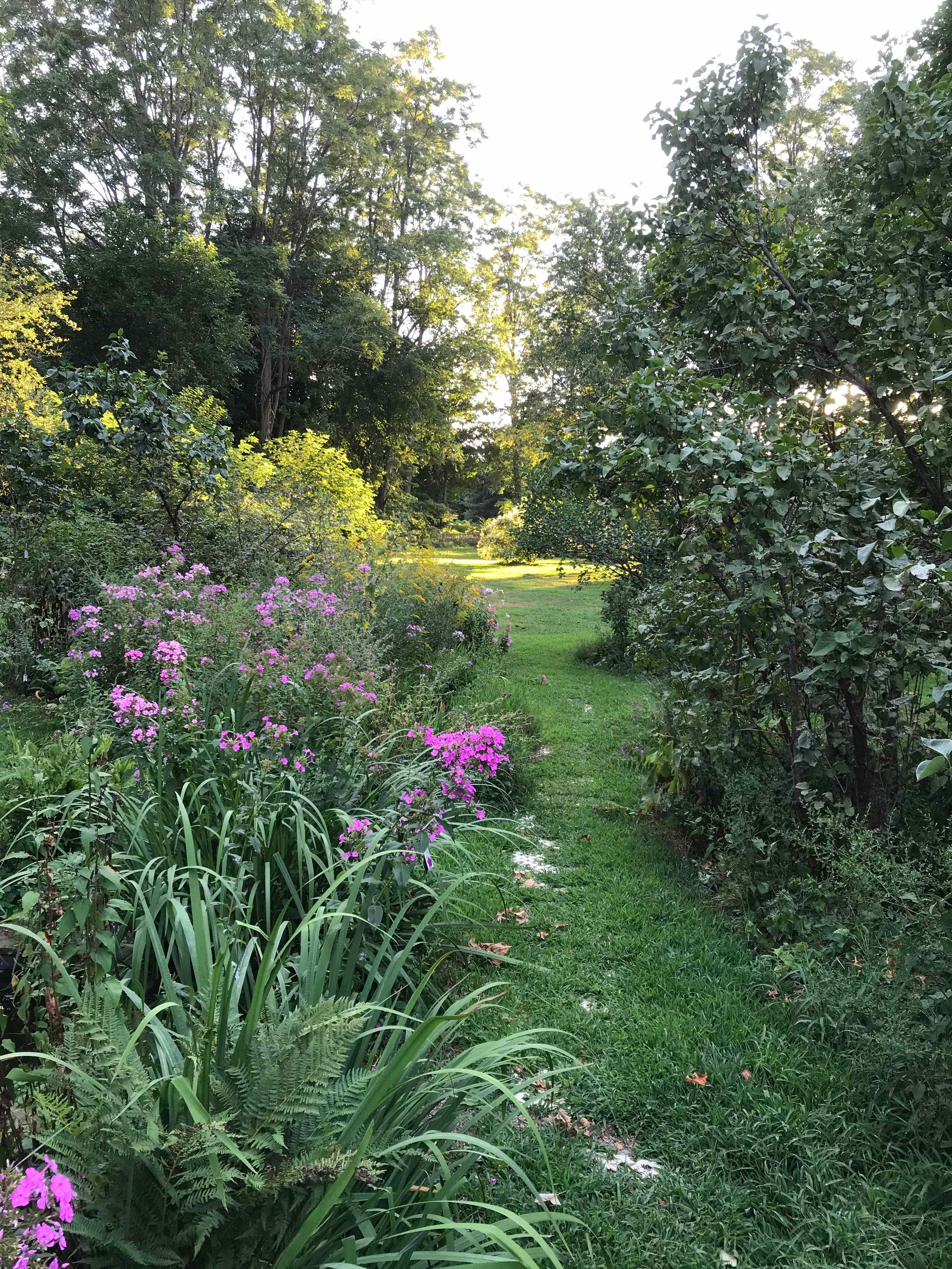 Shaded Gardens